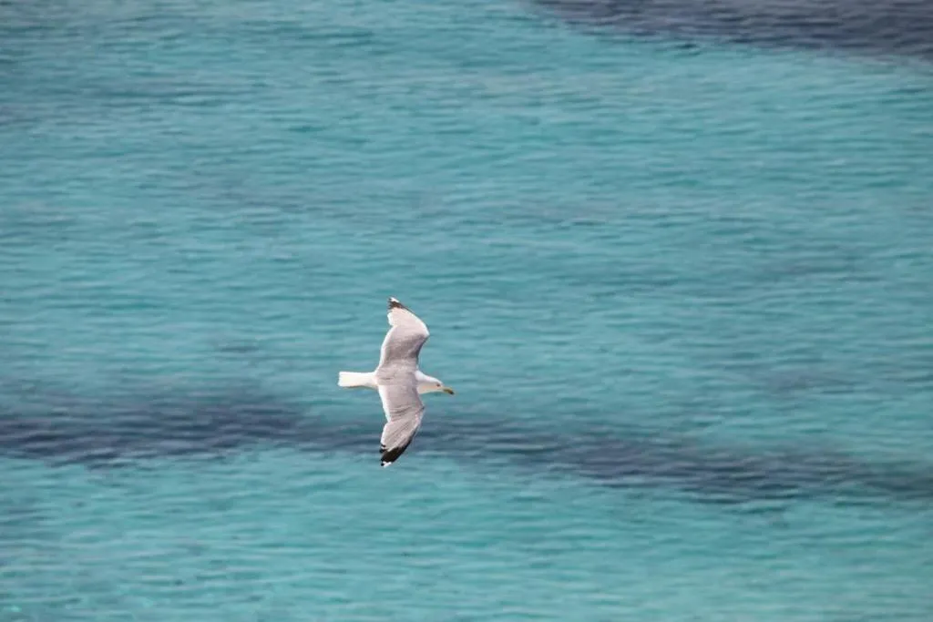 Area and facilities in Cupola Bianca Resort