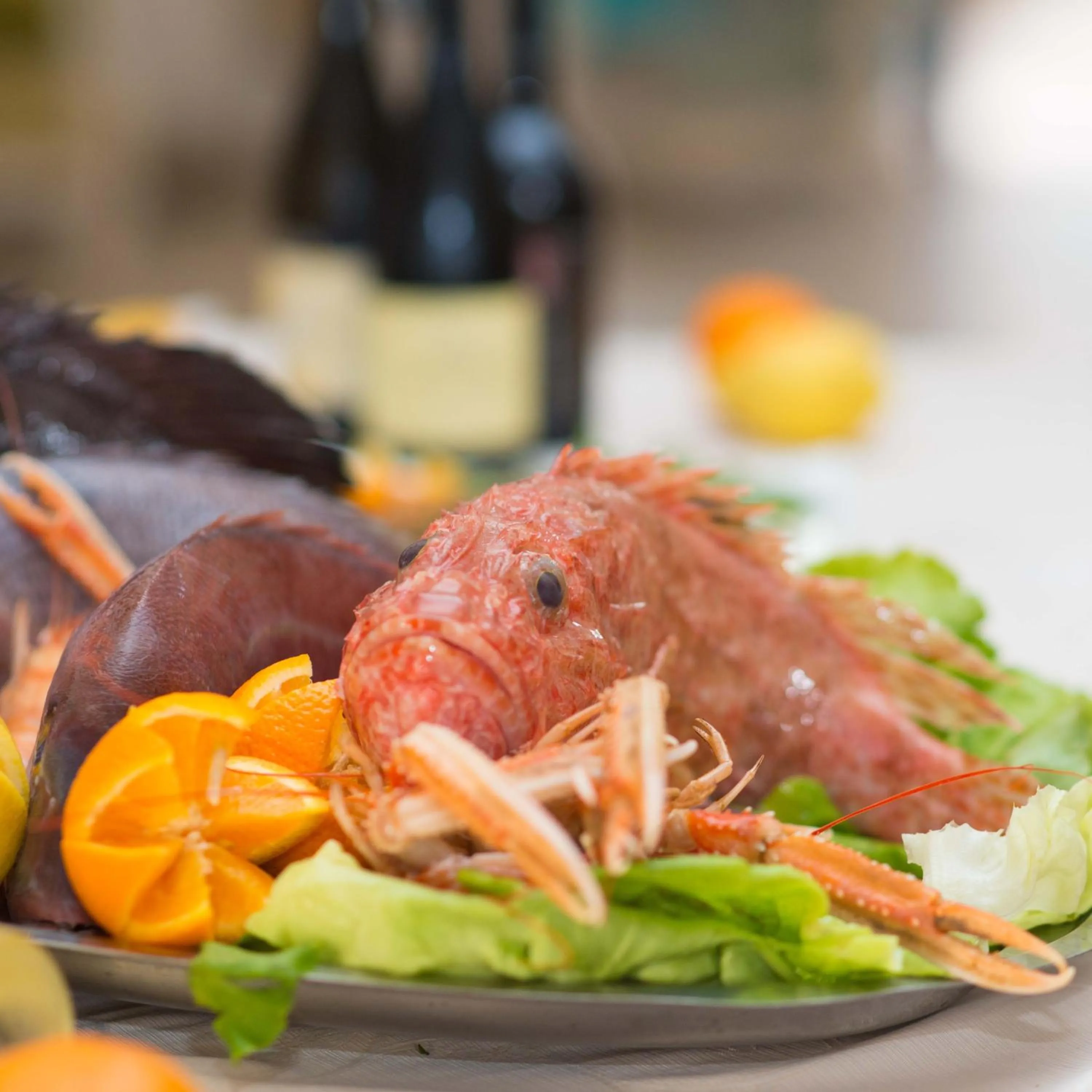 Restaurant/places to eat in Cupola Bianca Resort