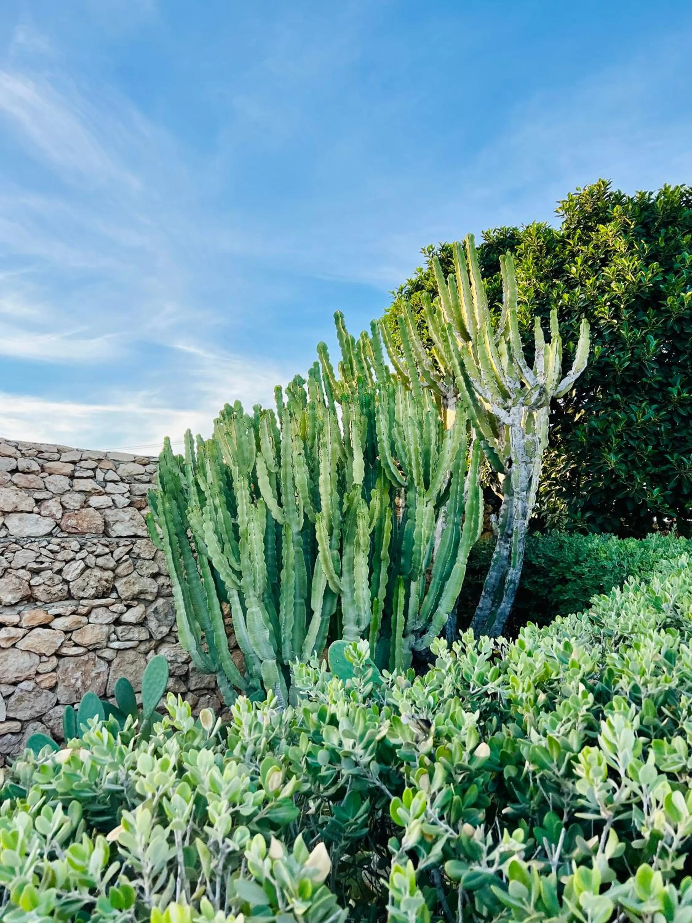 Cupola Bianca Resort