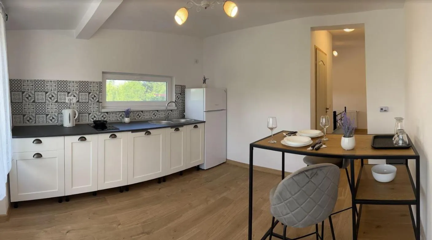 TV and multimedia in Premont Studios Ghimbav