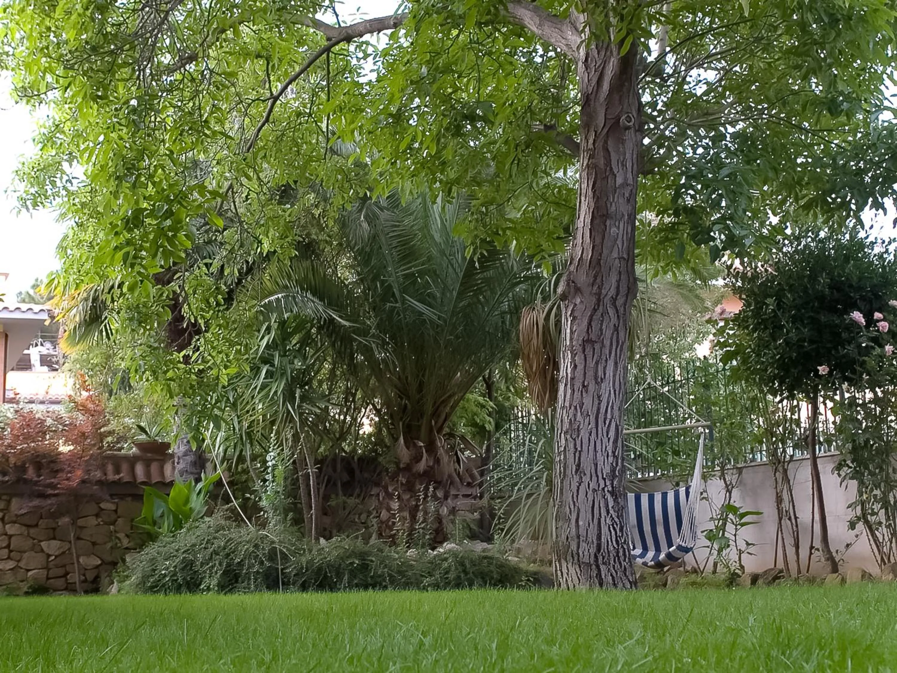 Garden in Hotel Louis II