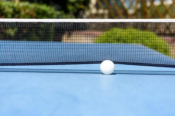 Darts in Hotel Vela Velo Club Vieste