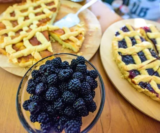 Hotel Vela Velo Club Vieste