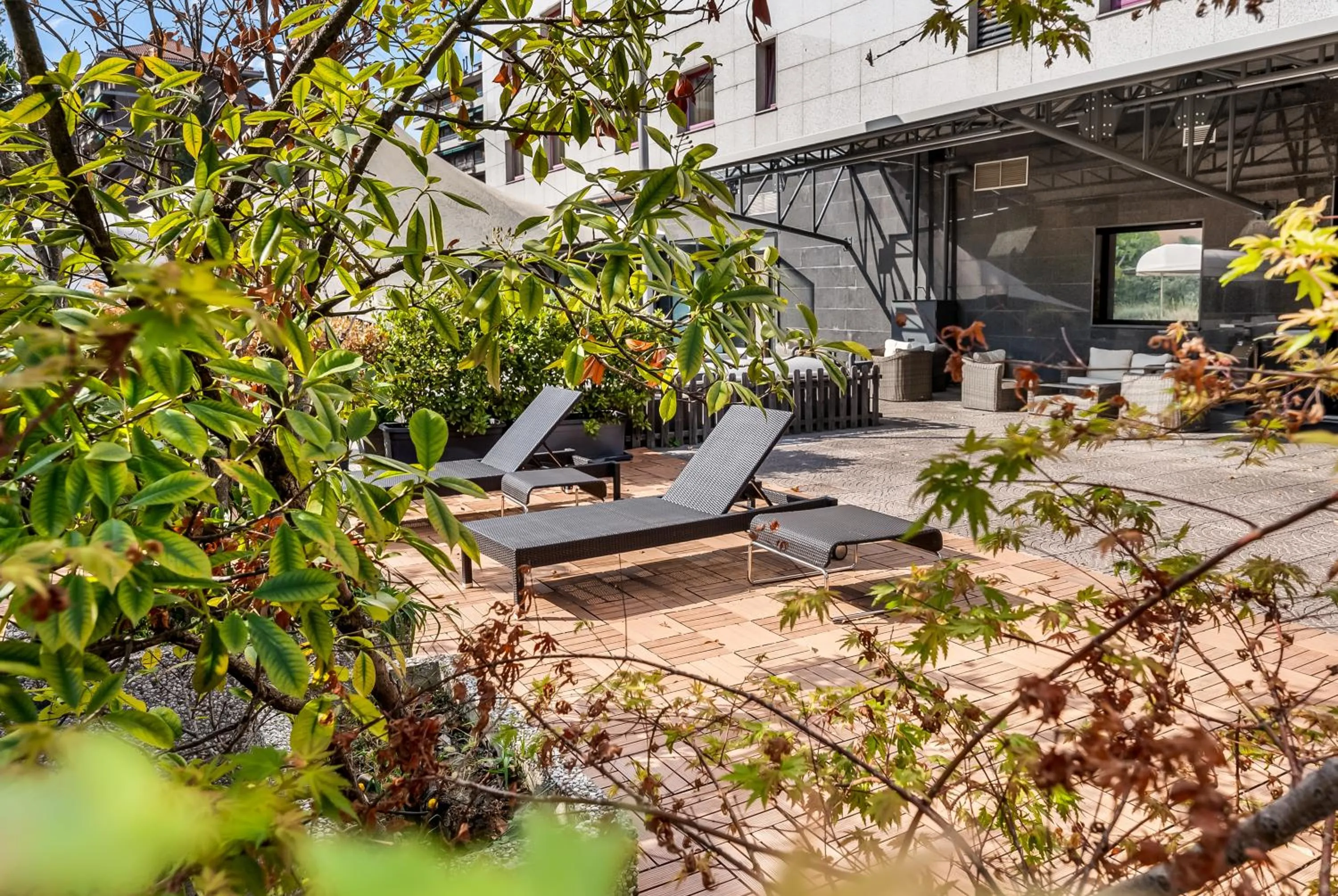 Garden view in Abacus Hotel