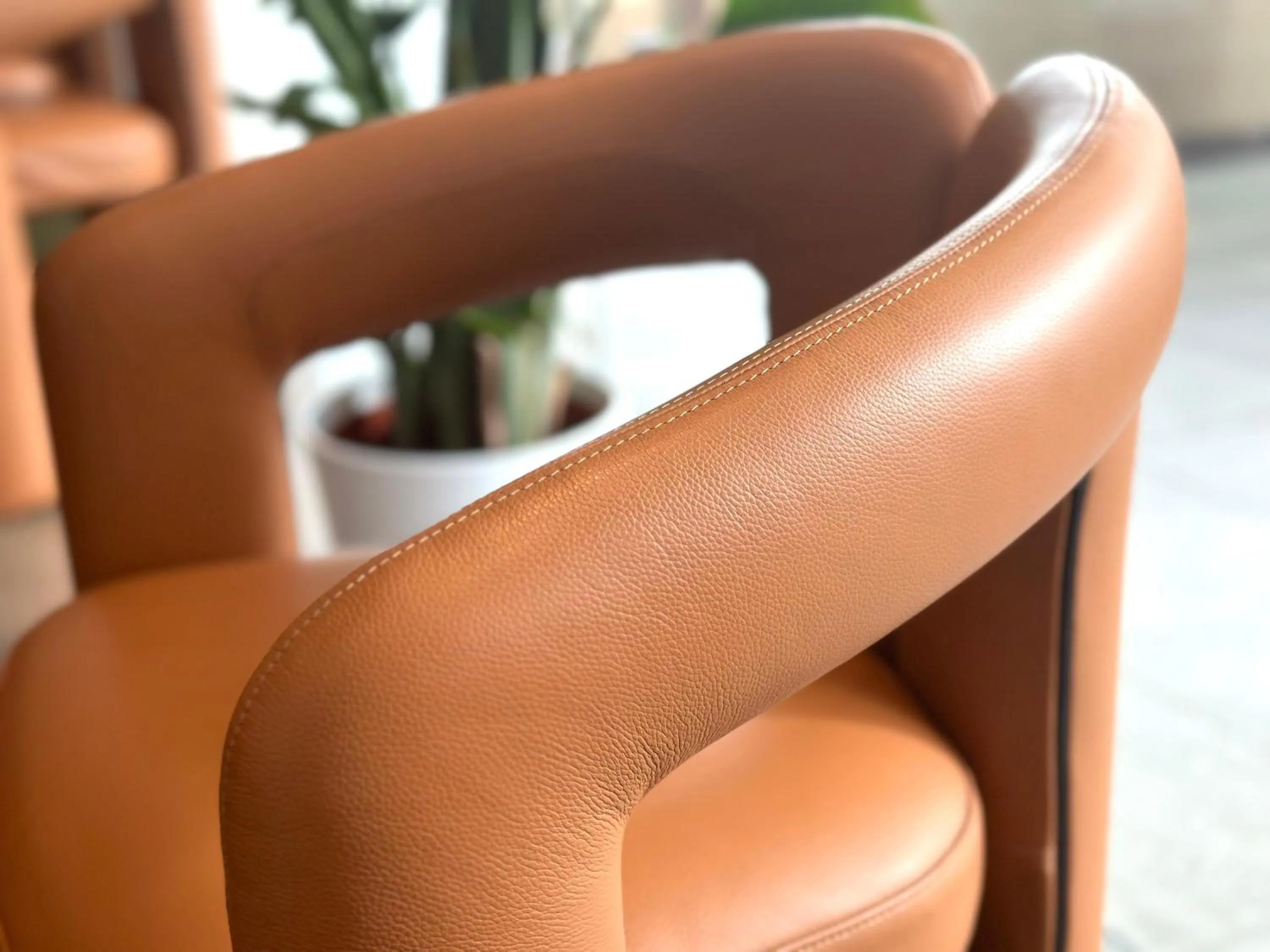 Lobby or reception in Club House Hotel