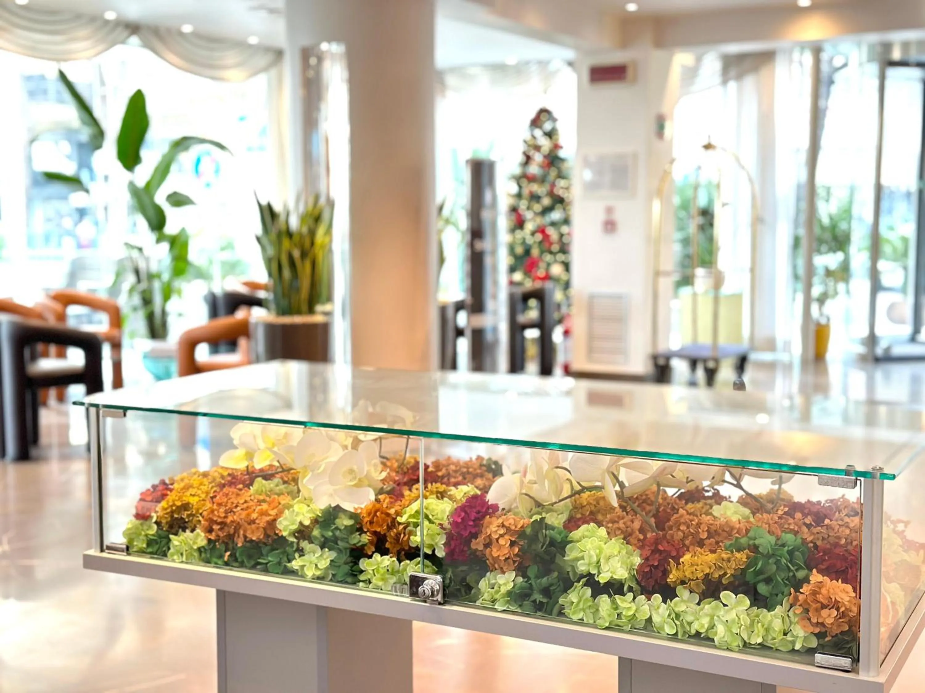 Lobby or reception in Club House Hotel