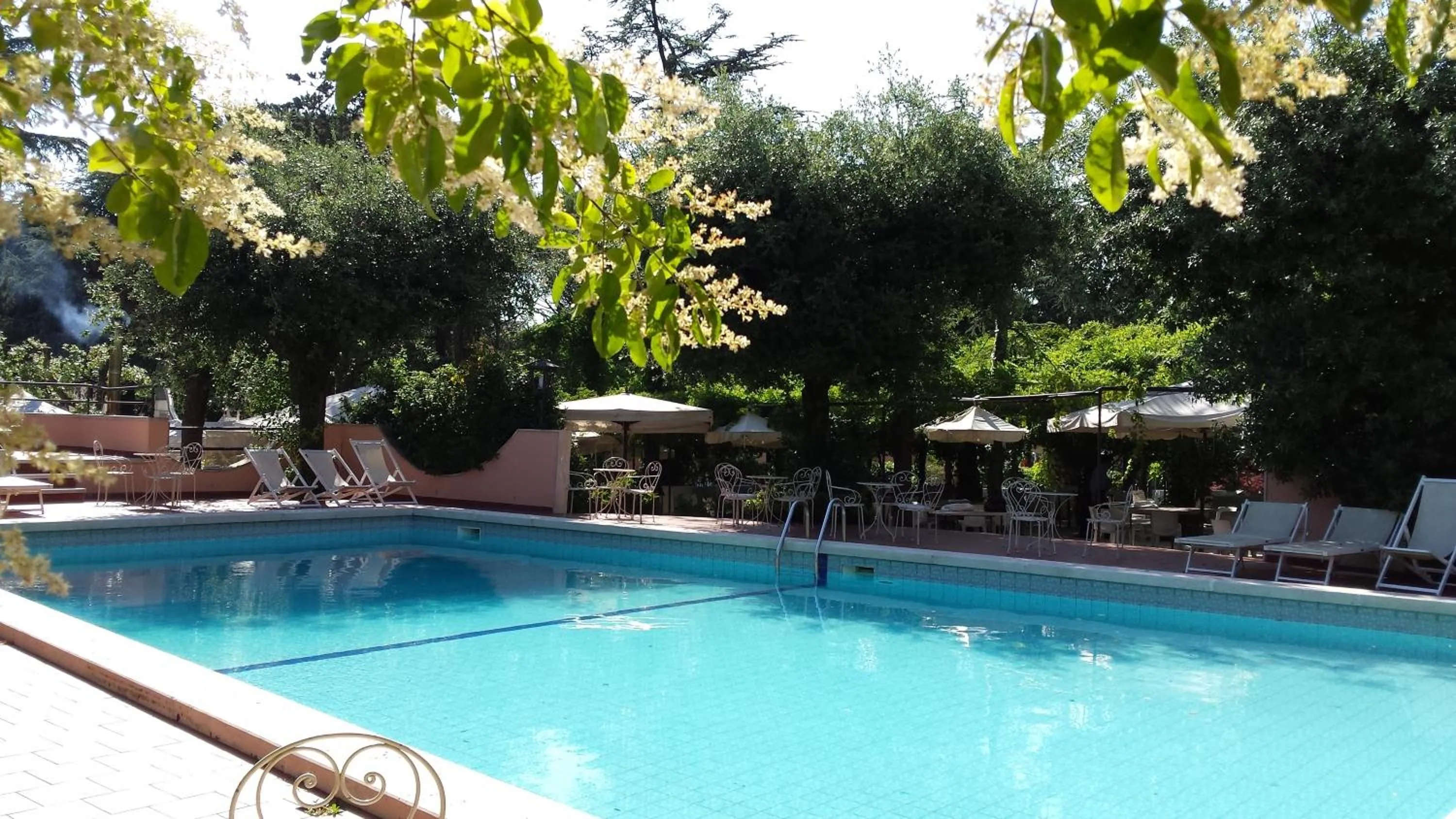 Swimming pool in Park Hotel San Michele