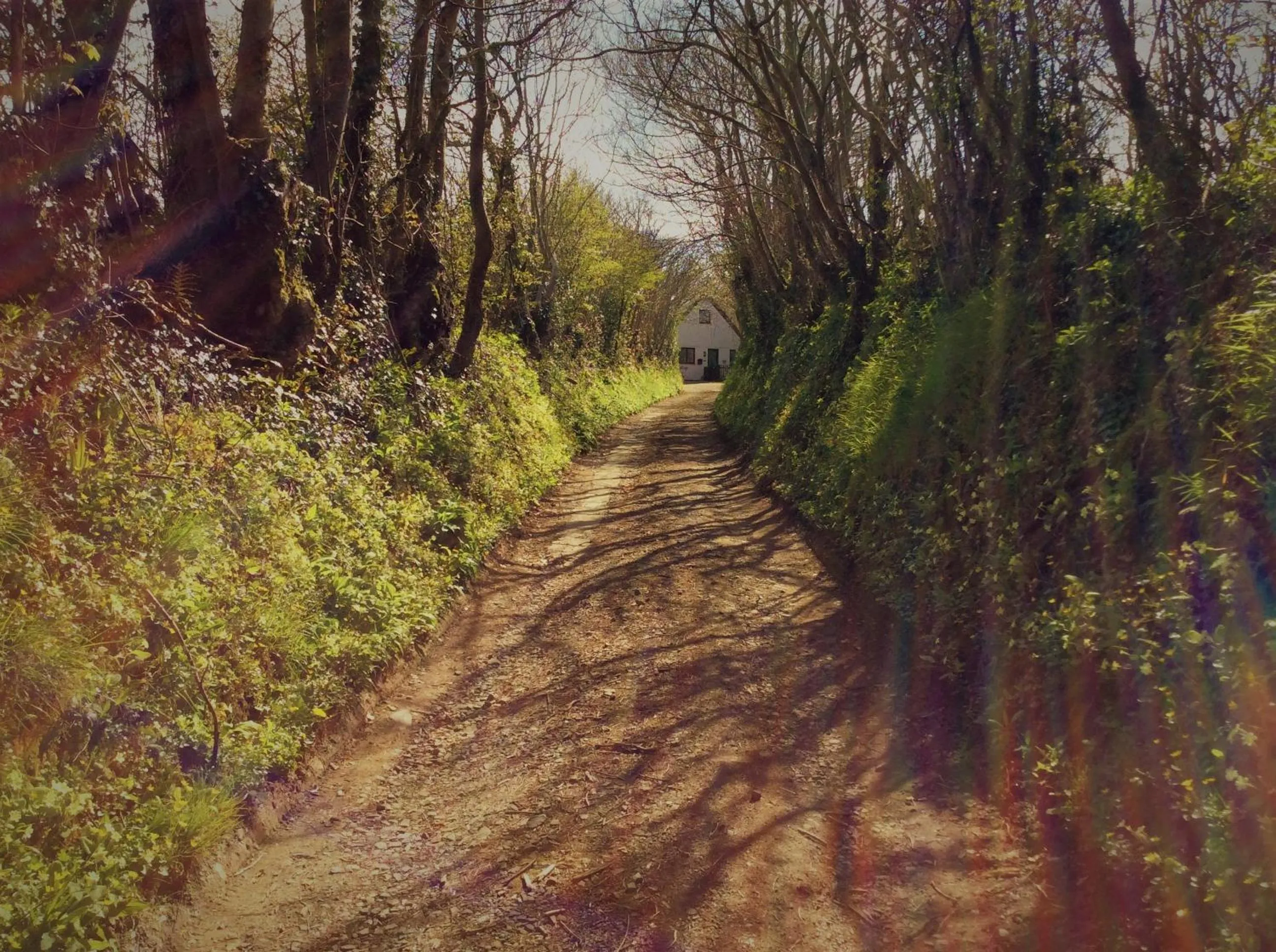 Facade/entrance in Bosvean House Bed & Breakfast