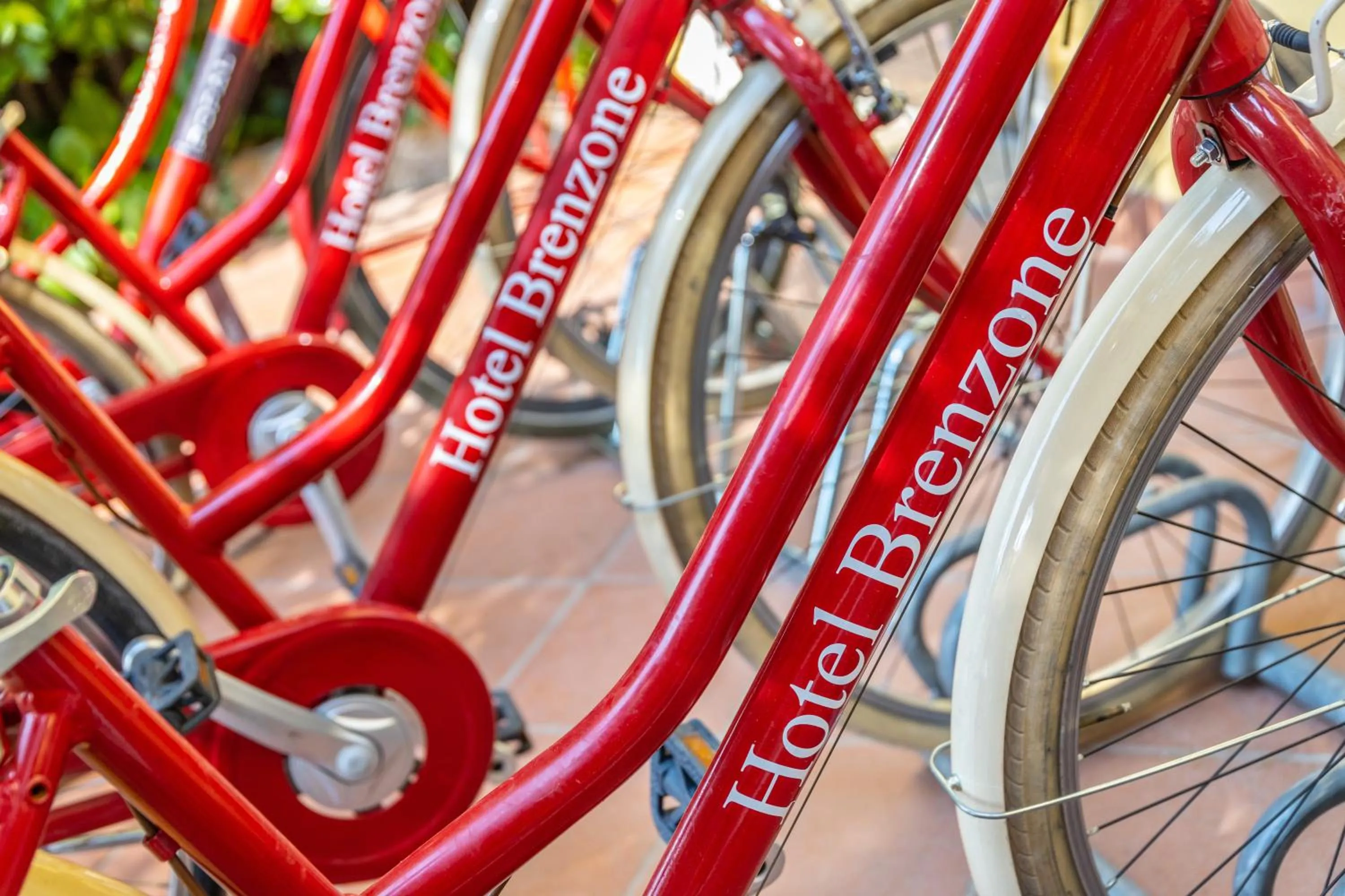 Cycling in Lake Front Hotel Brenzone