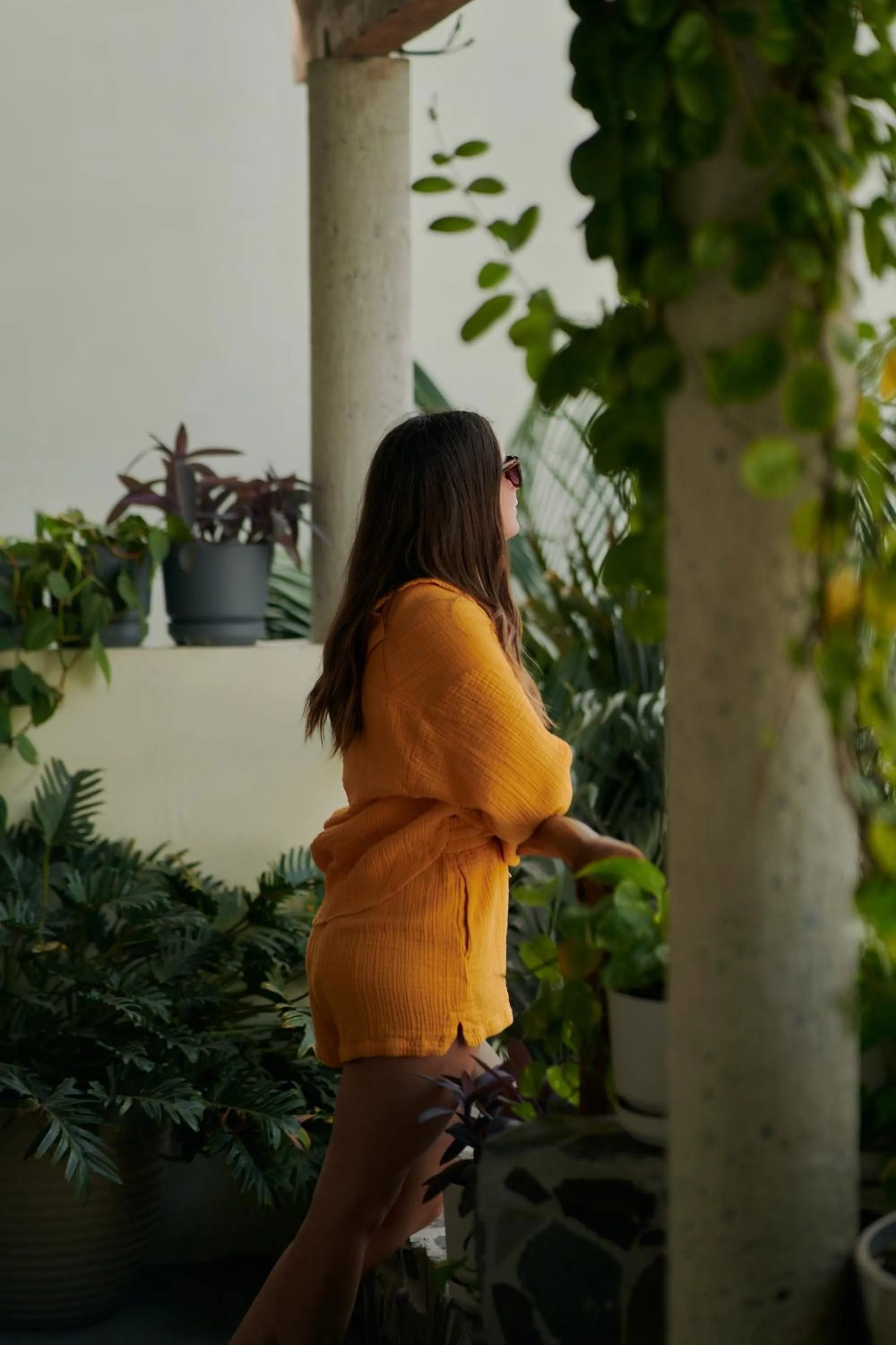 Spring in Hotel Ysuri Bucerias