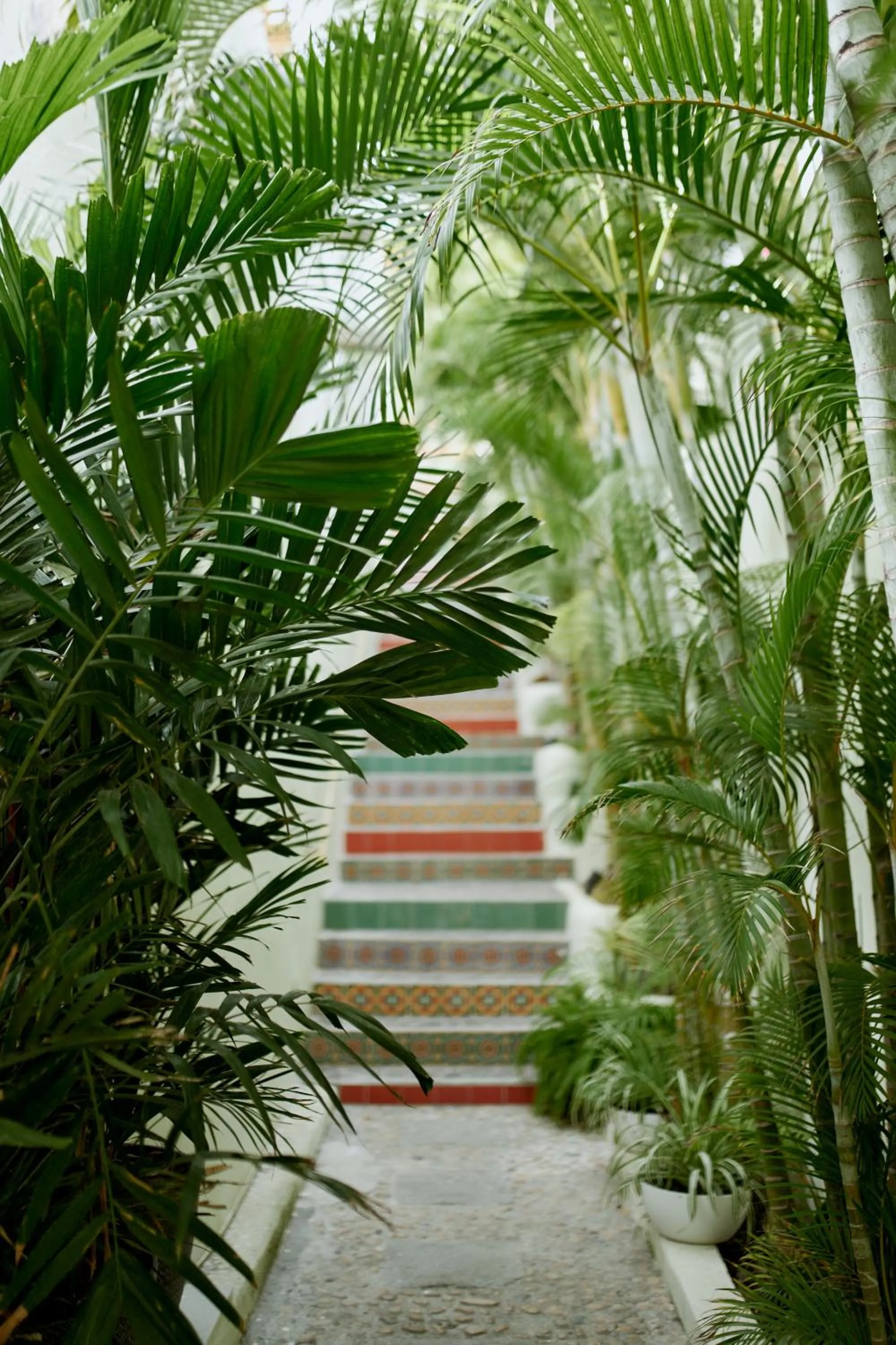 Day in Hotel Ysuri Bucerias