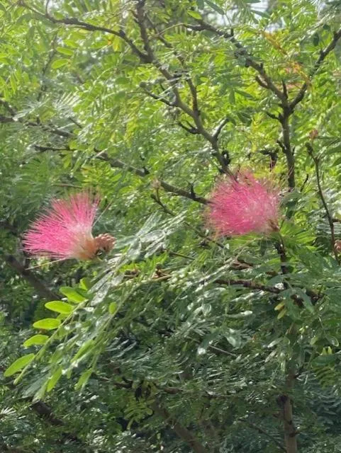 Boundless Bliss Hotel