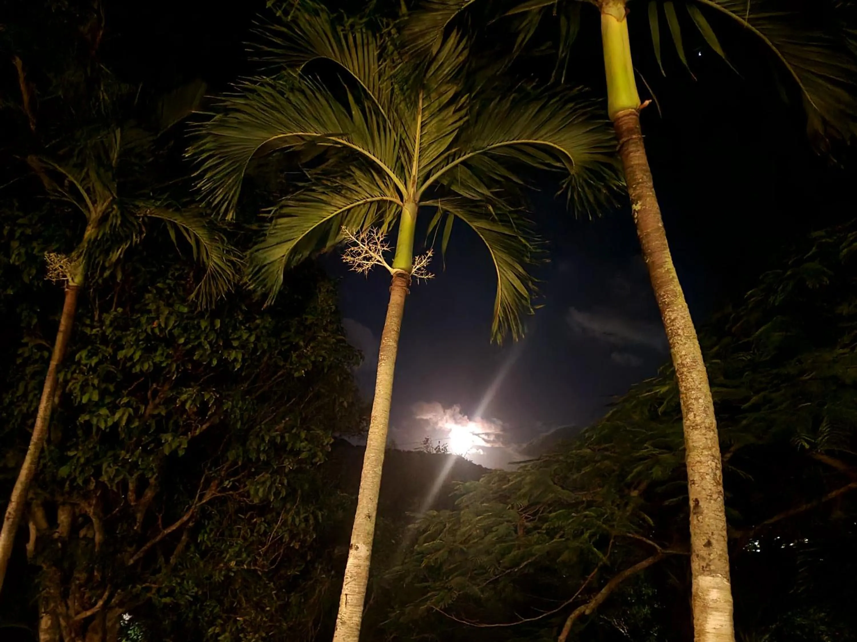 Boundless Bliss Hotel