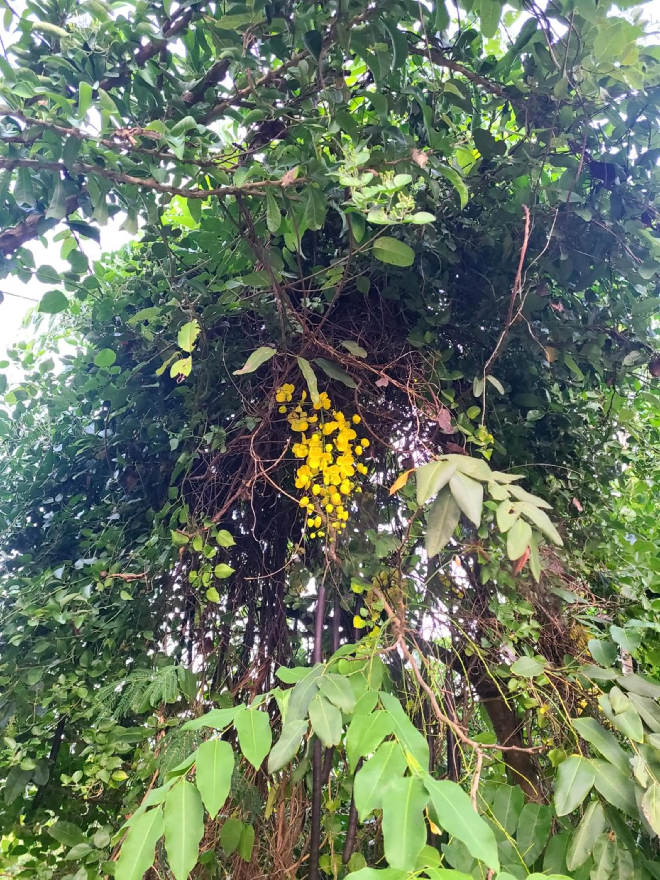 Boundless Bliss Hotel