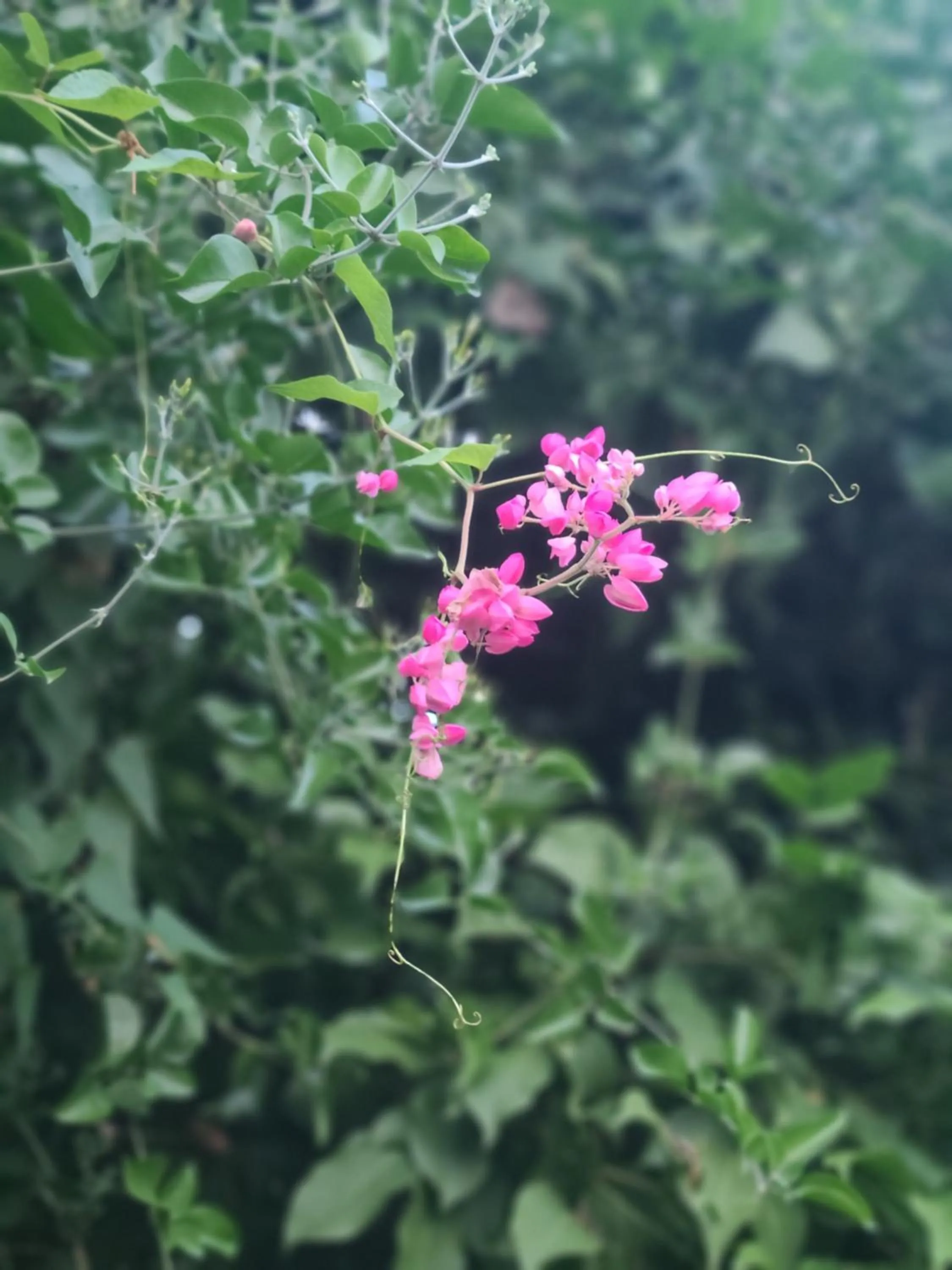 Boundless Bliss Hotel