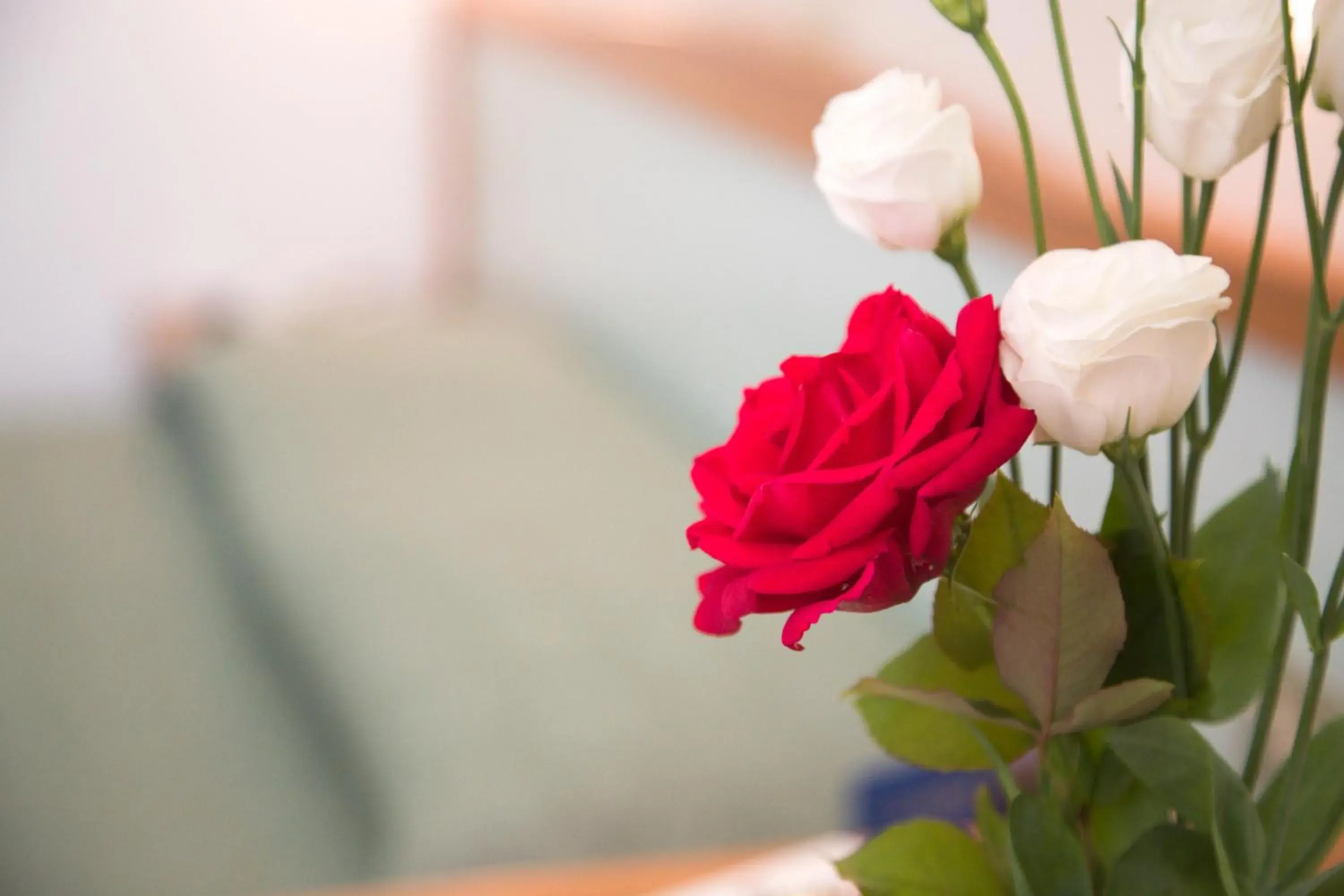 Triple Room in Hotel Giannino Triple Room in Hotel Giannino