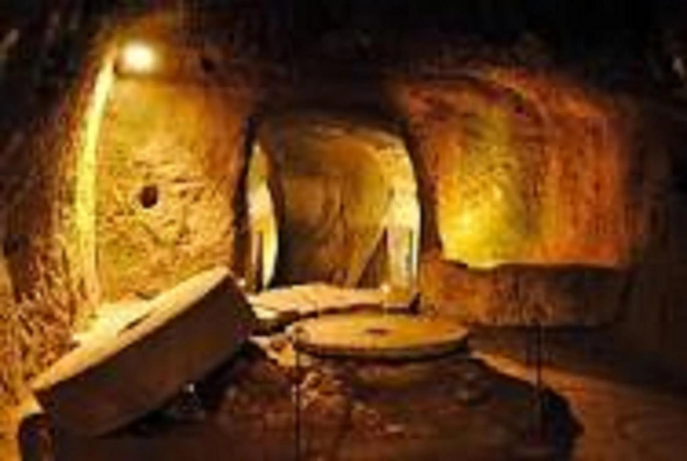 Animals in Hotel Valentino Centro Storico