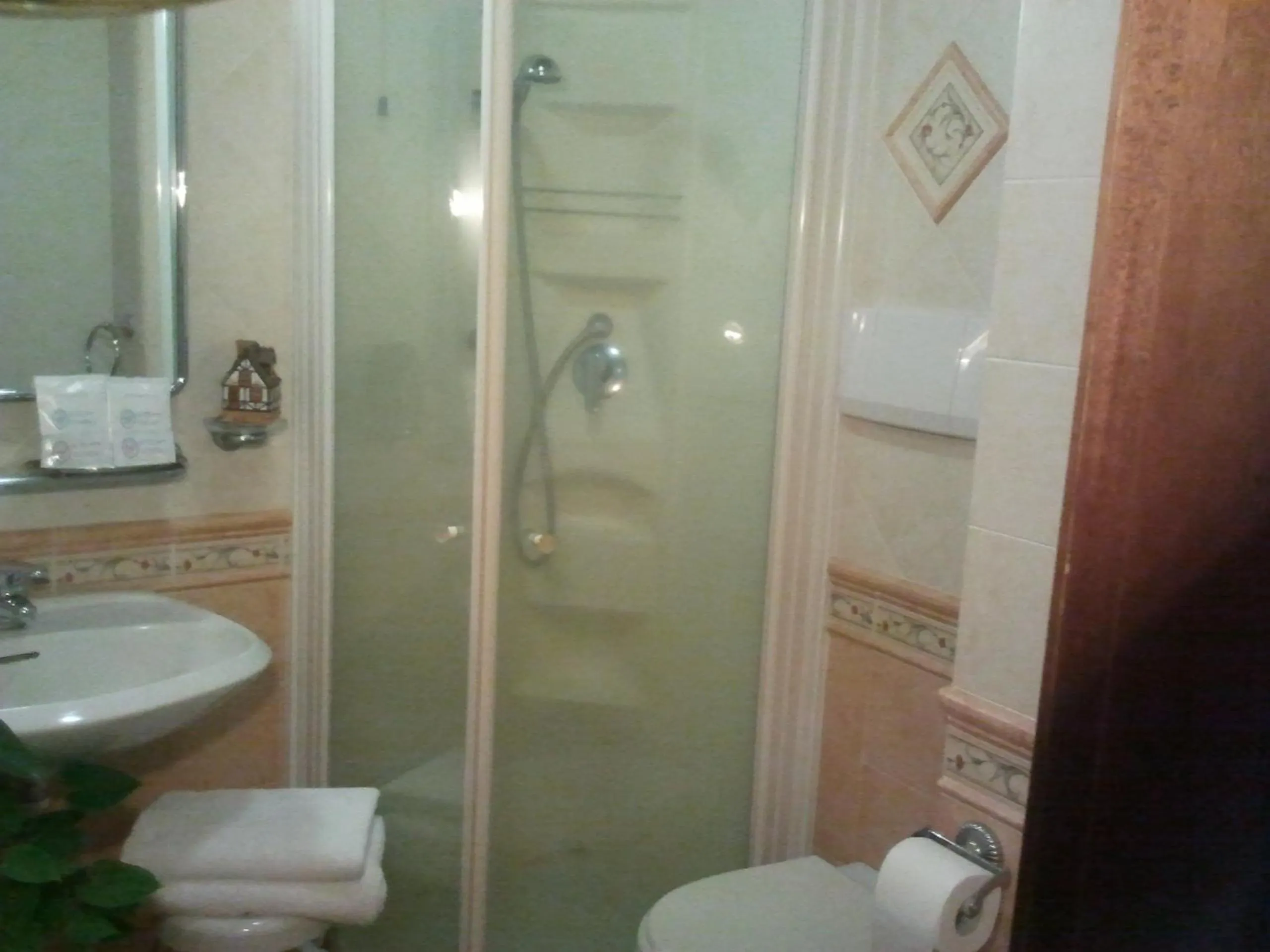 Shower in Hotel Valentino Centro Storico