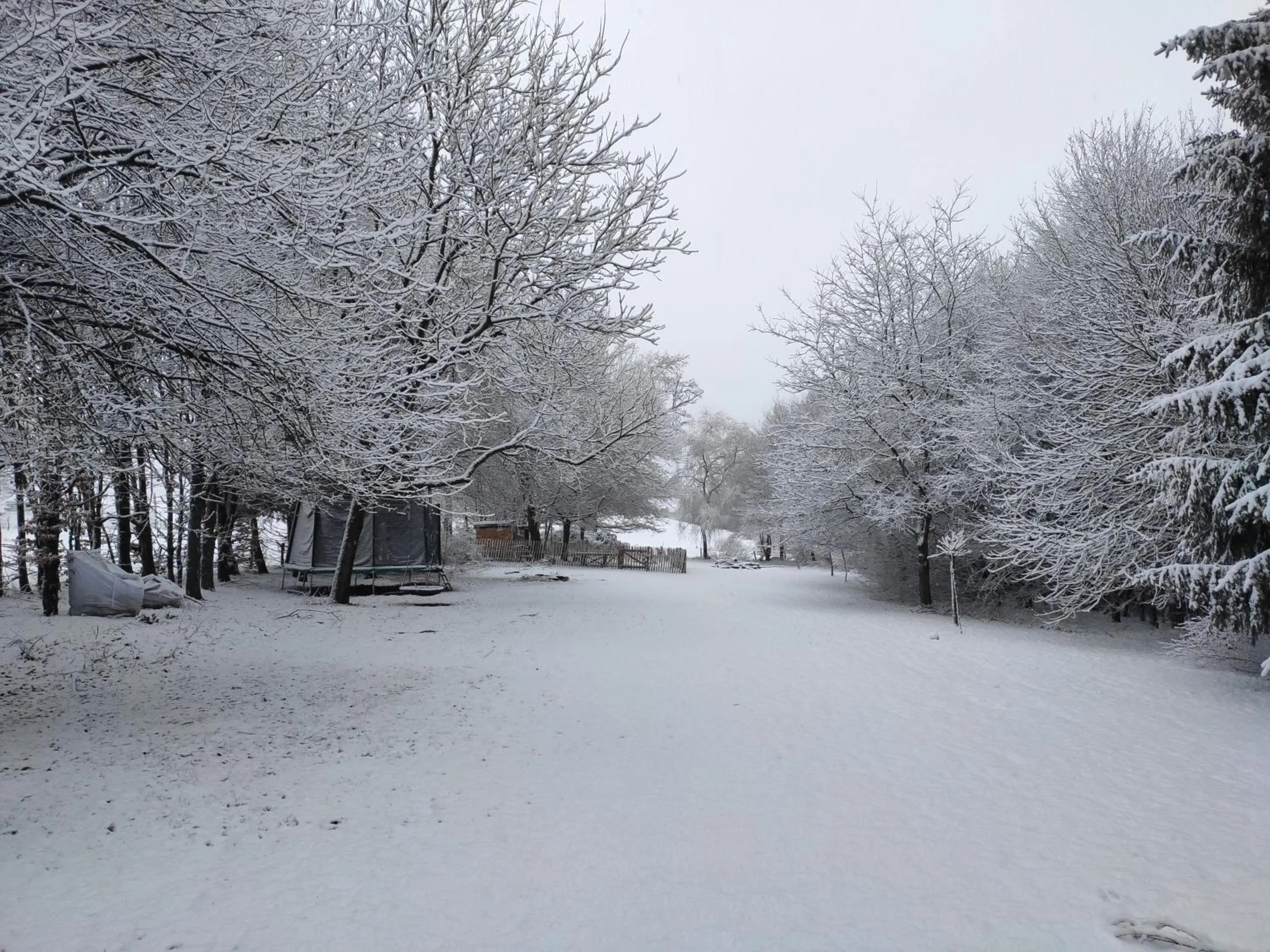 Winter in B&B Emmylou