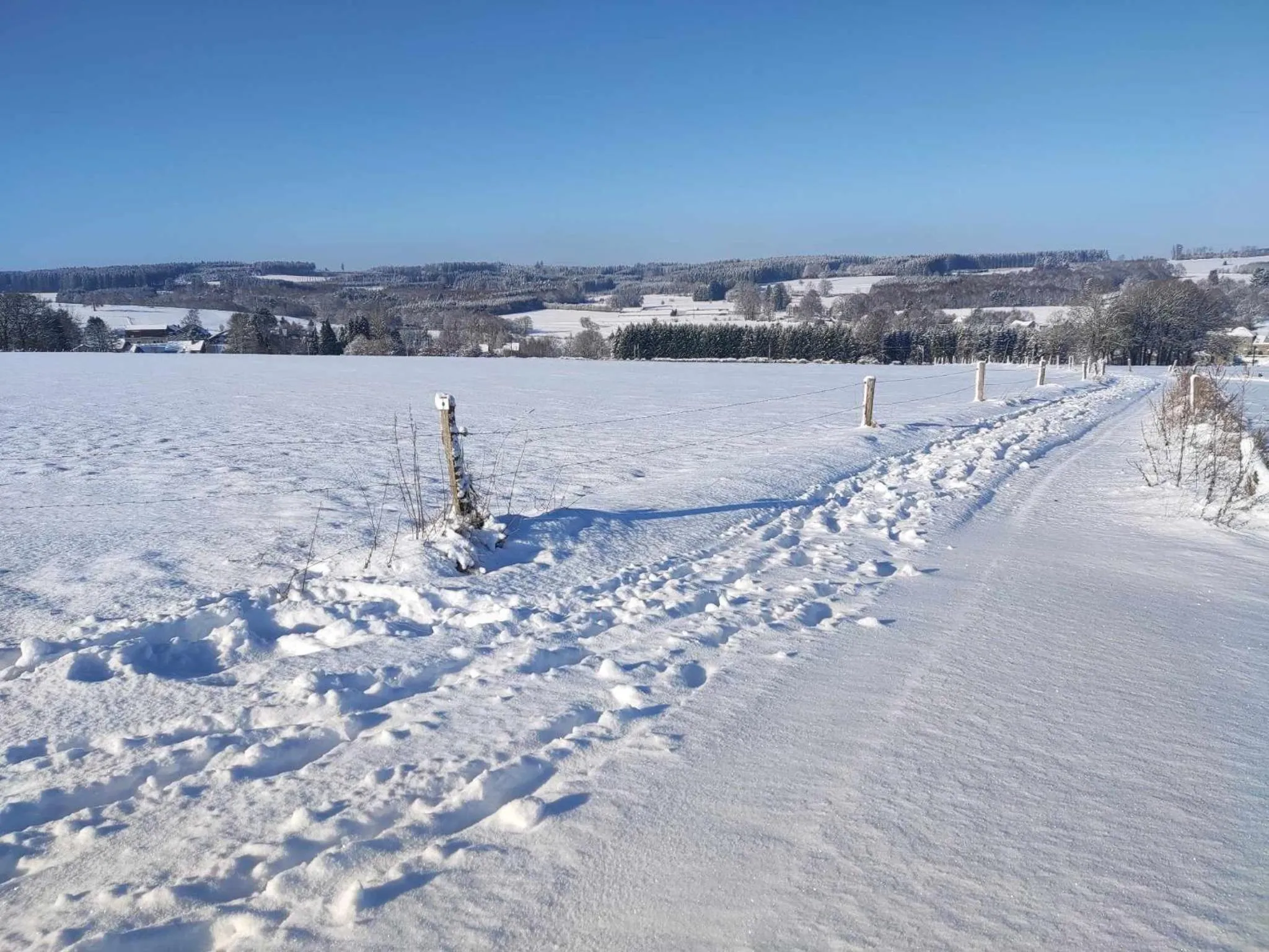 Winter in B&B Emmylou