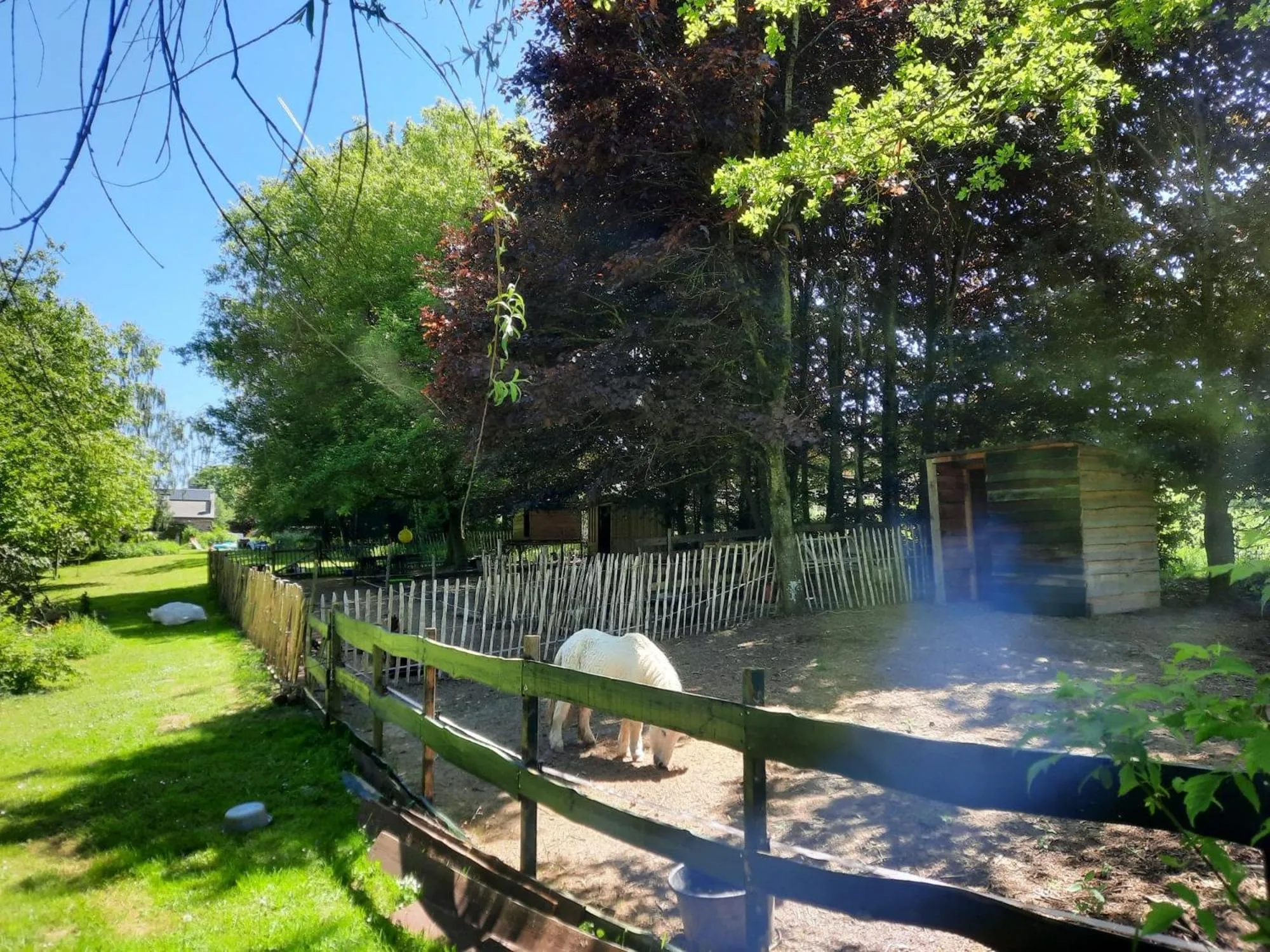 Garden in B&B Emmylou