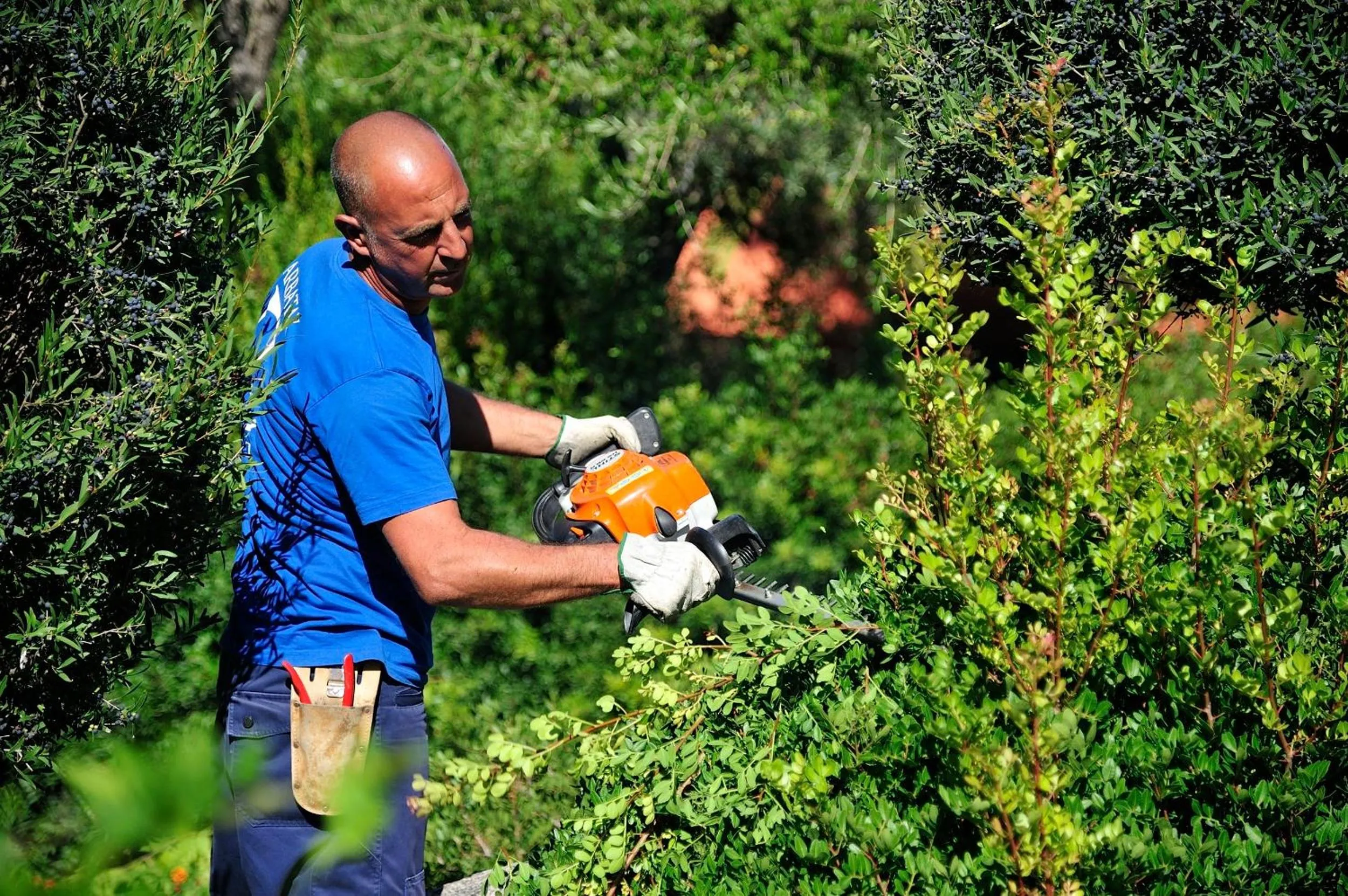 Staff in Hotel Club Saraceno - Bovis Hotels