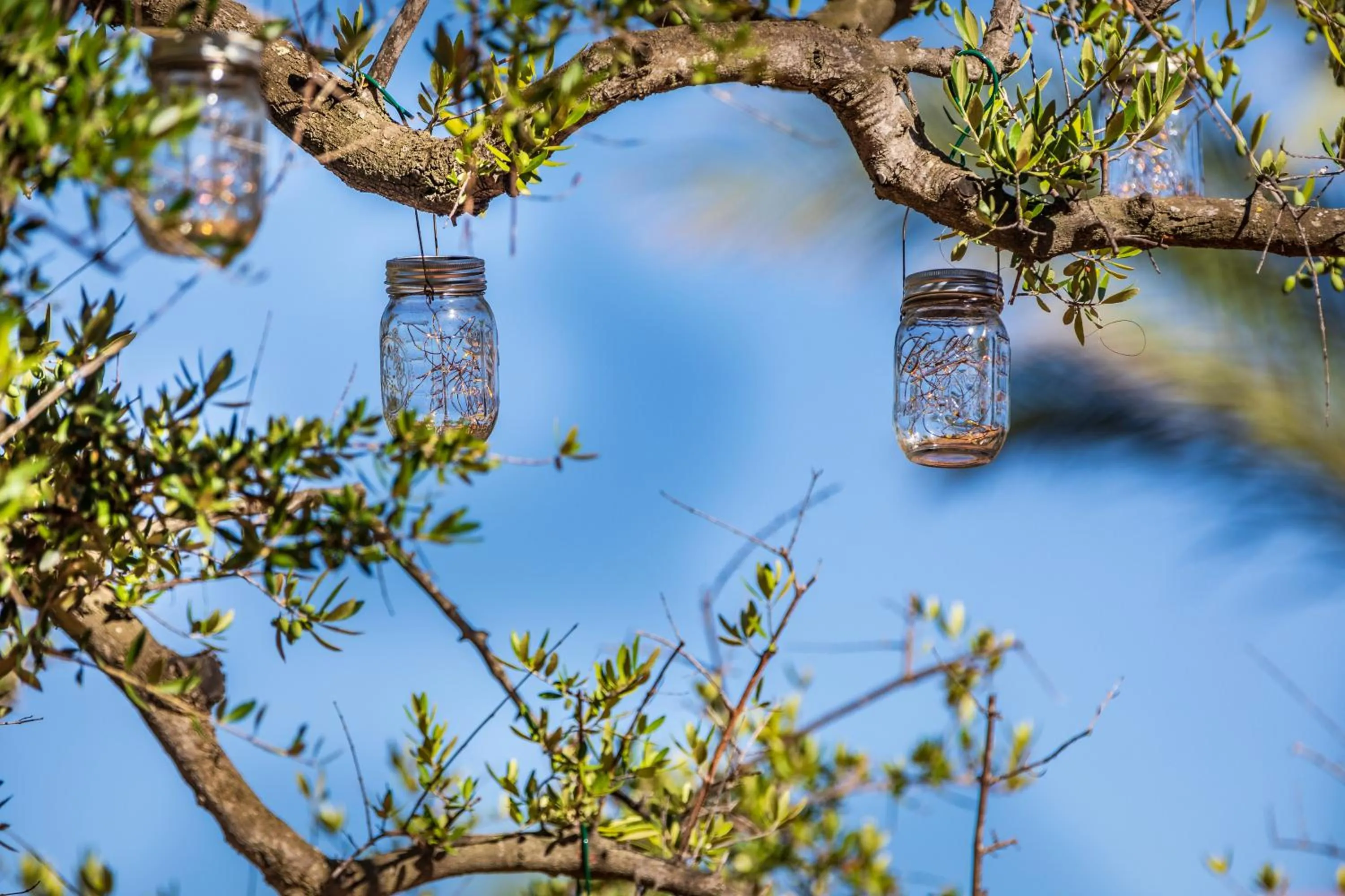 Garden in Hotel Club Saraceno - Bovis Hotels