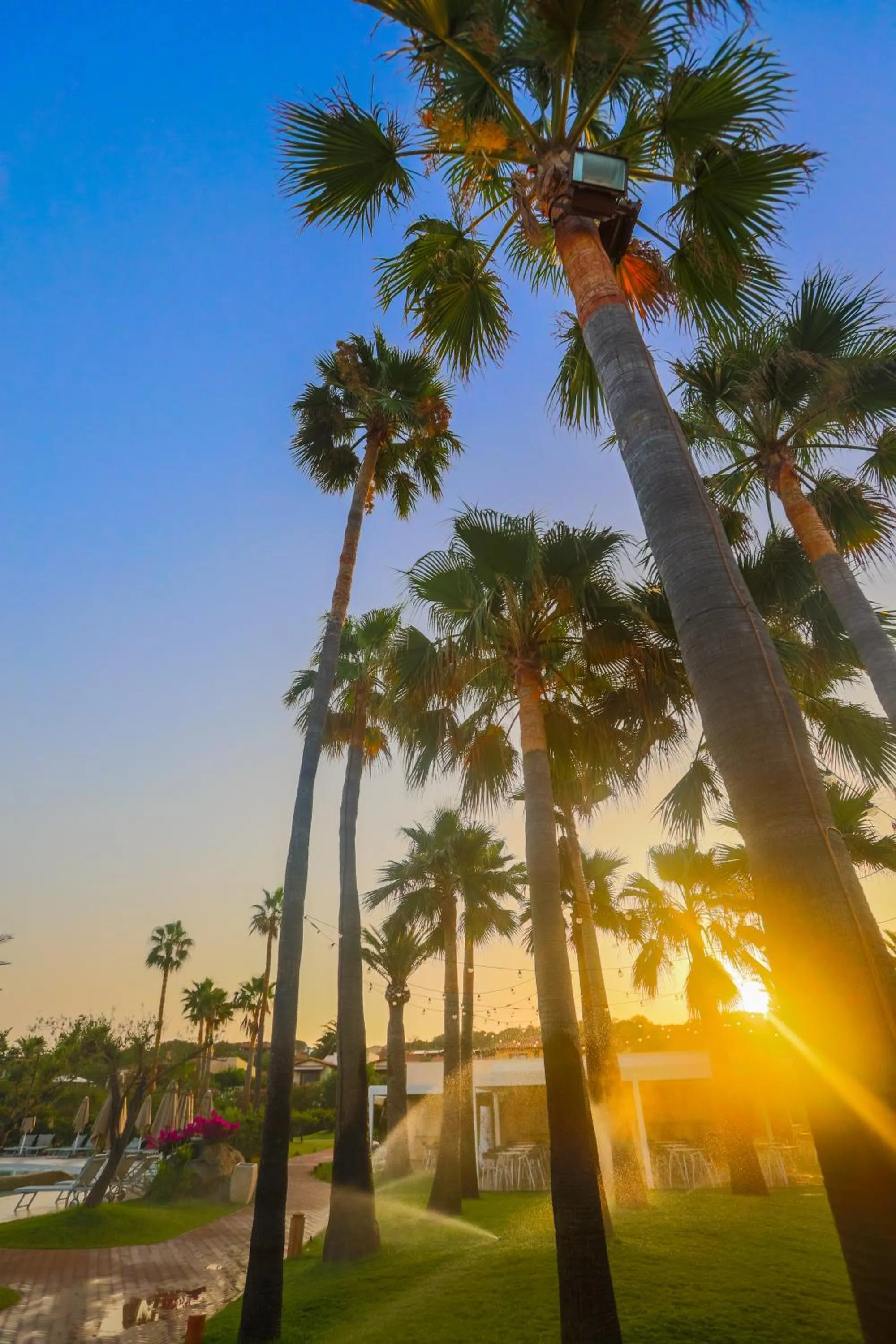 Swimming pool in Hotel Club Saraceno - Bovis Hotels