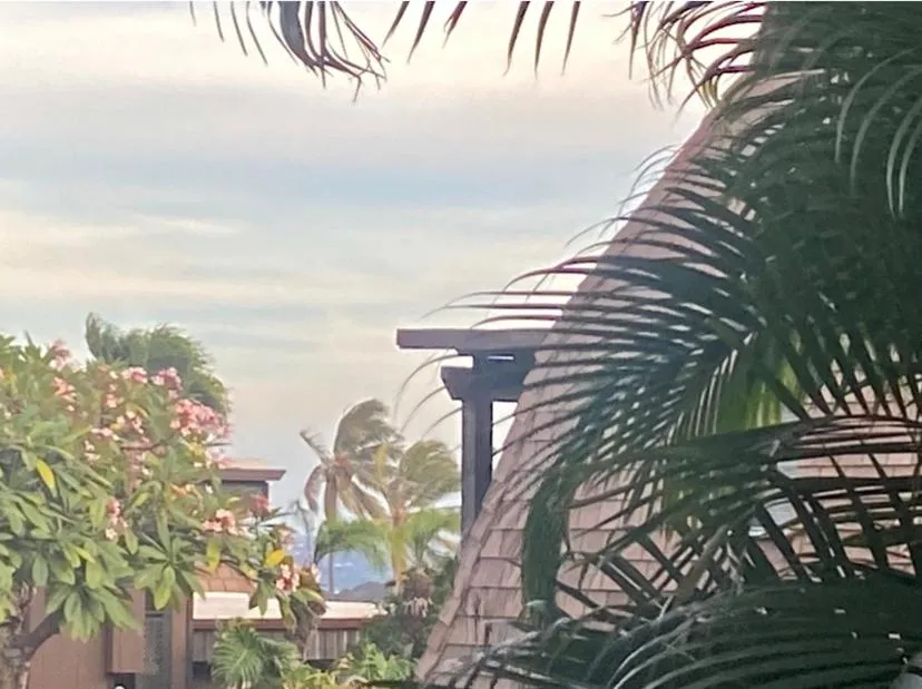 Patio in Black Sands Beach Condo with Full Kitchen