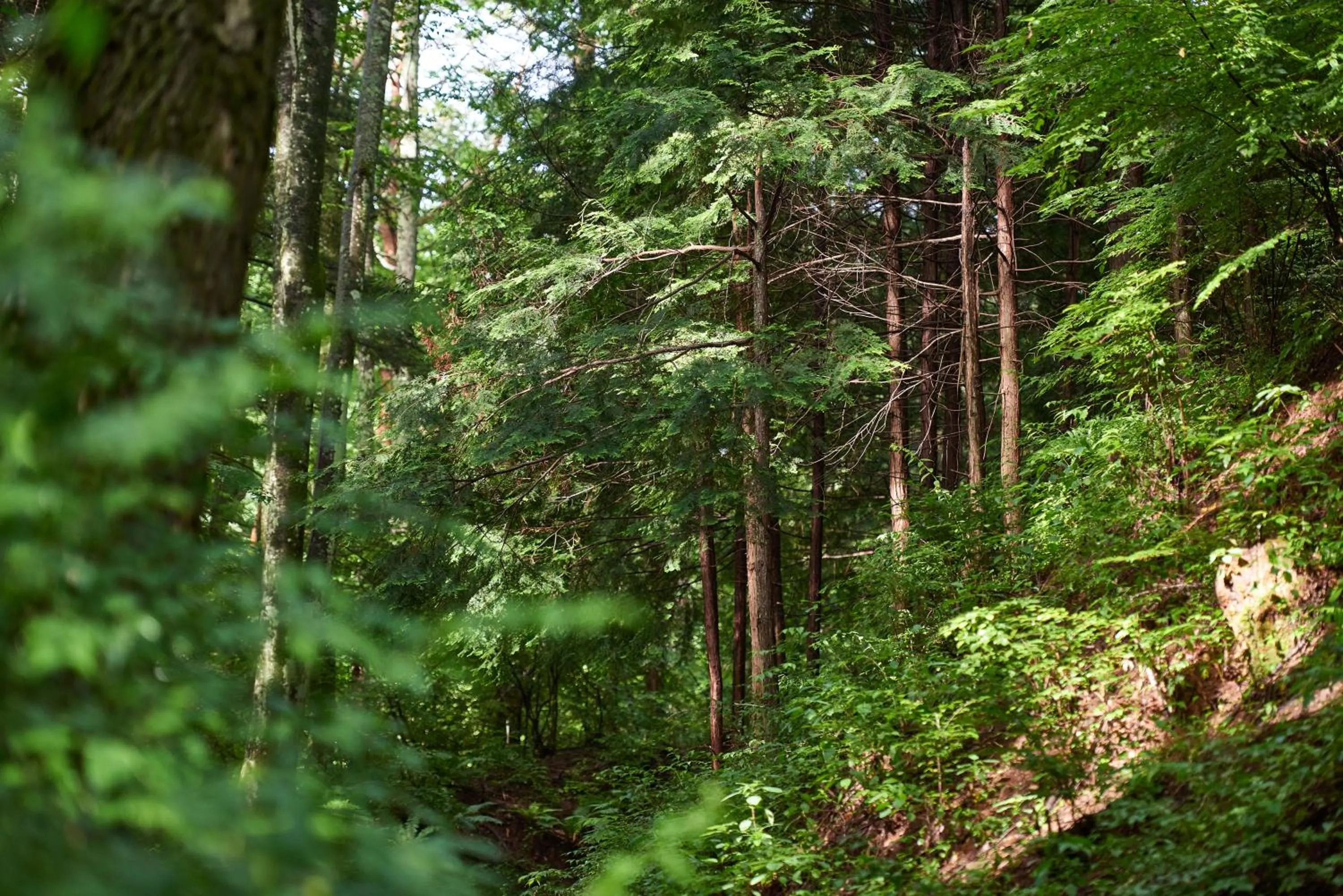 Neighbourhood in BYAKU Narai