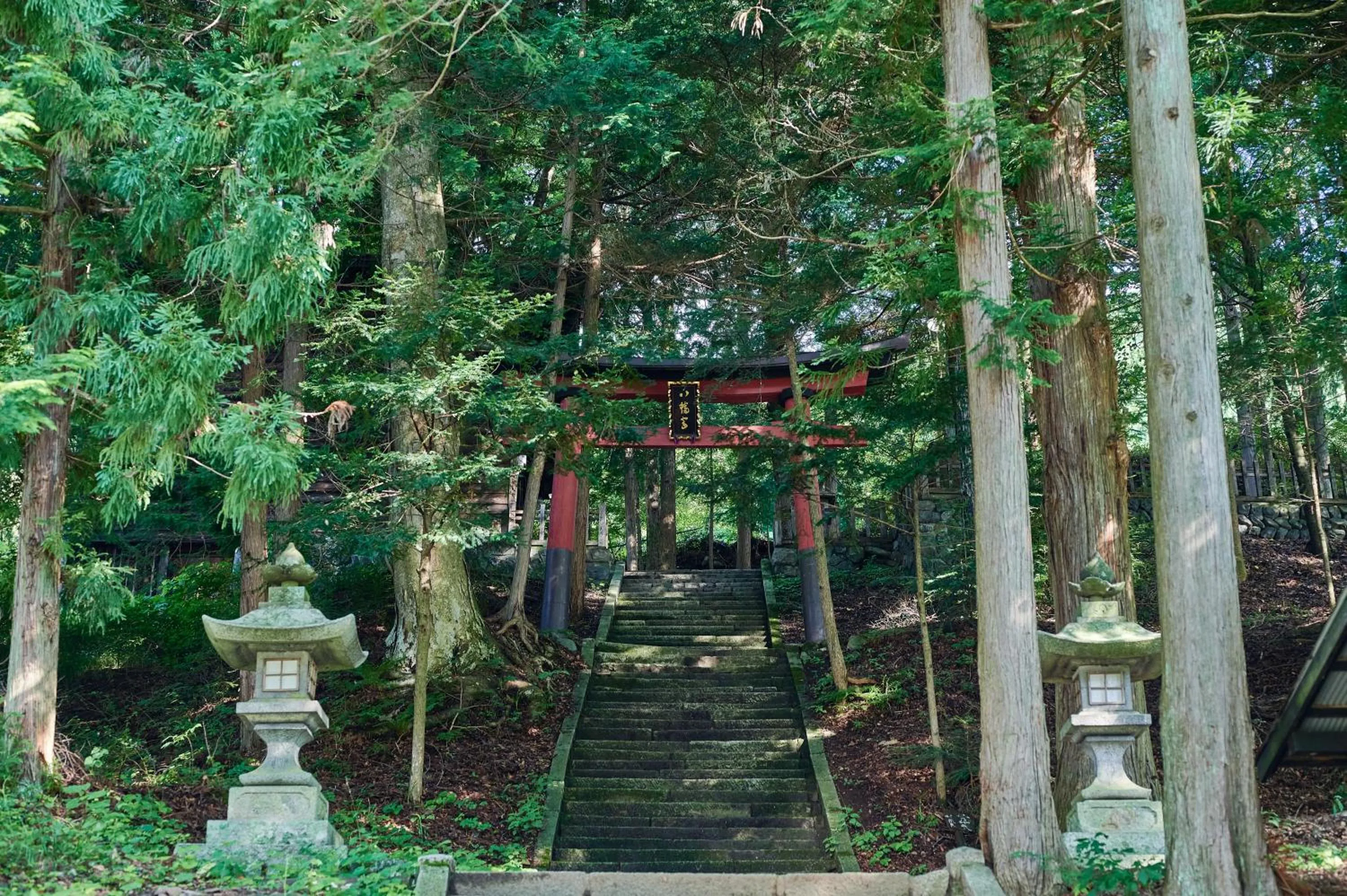 Neighbourhood in BYAKU Narai