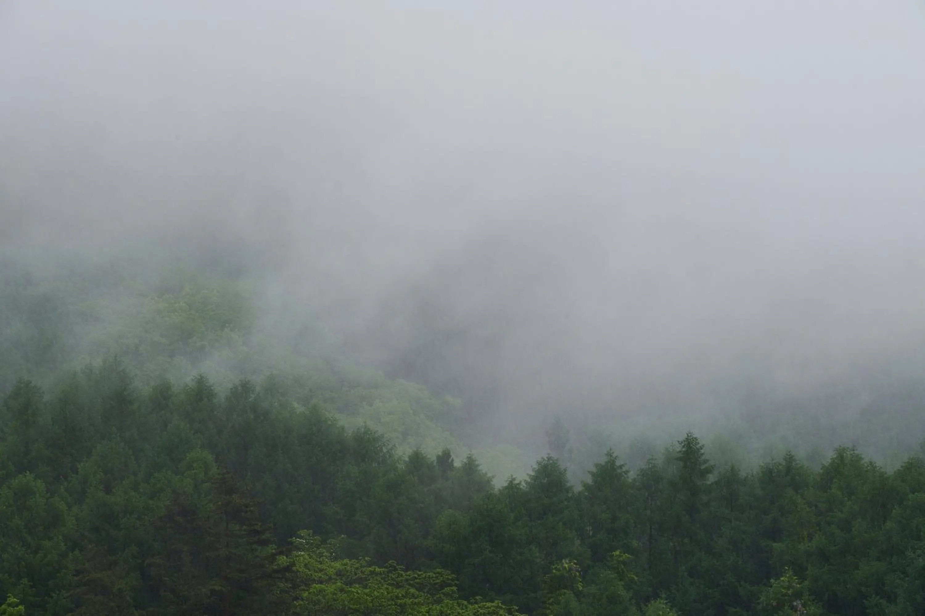 Neighbourhood in BYAKU Narai