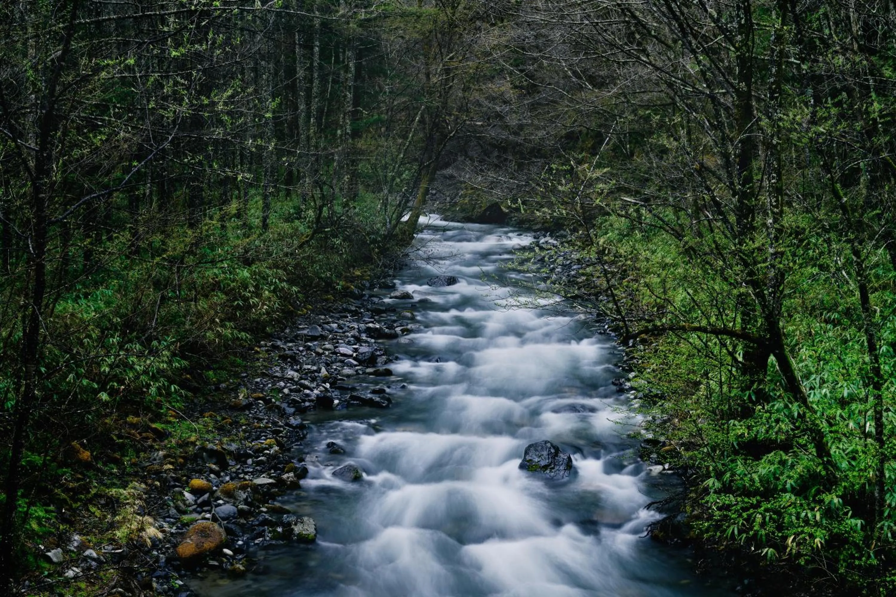 Neighbourhood in BYAKU Narai
