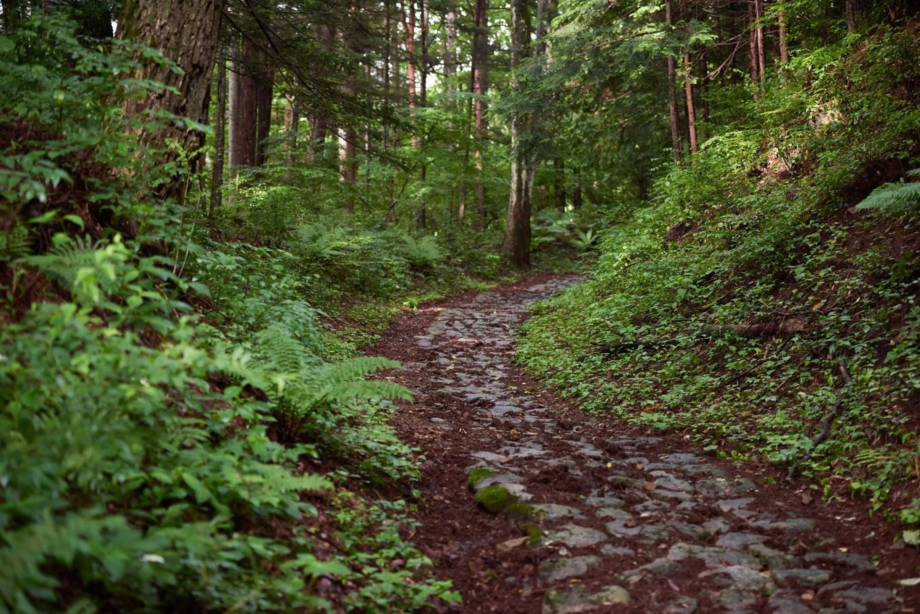 Neighbourhood in BYAKU Narai