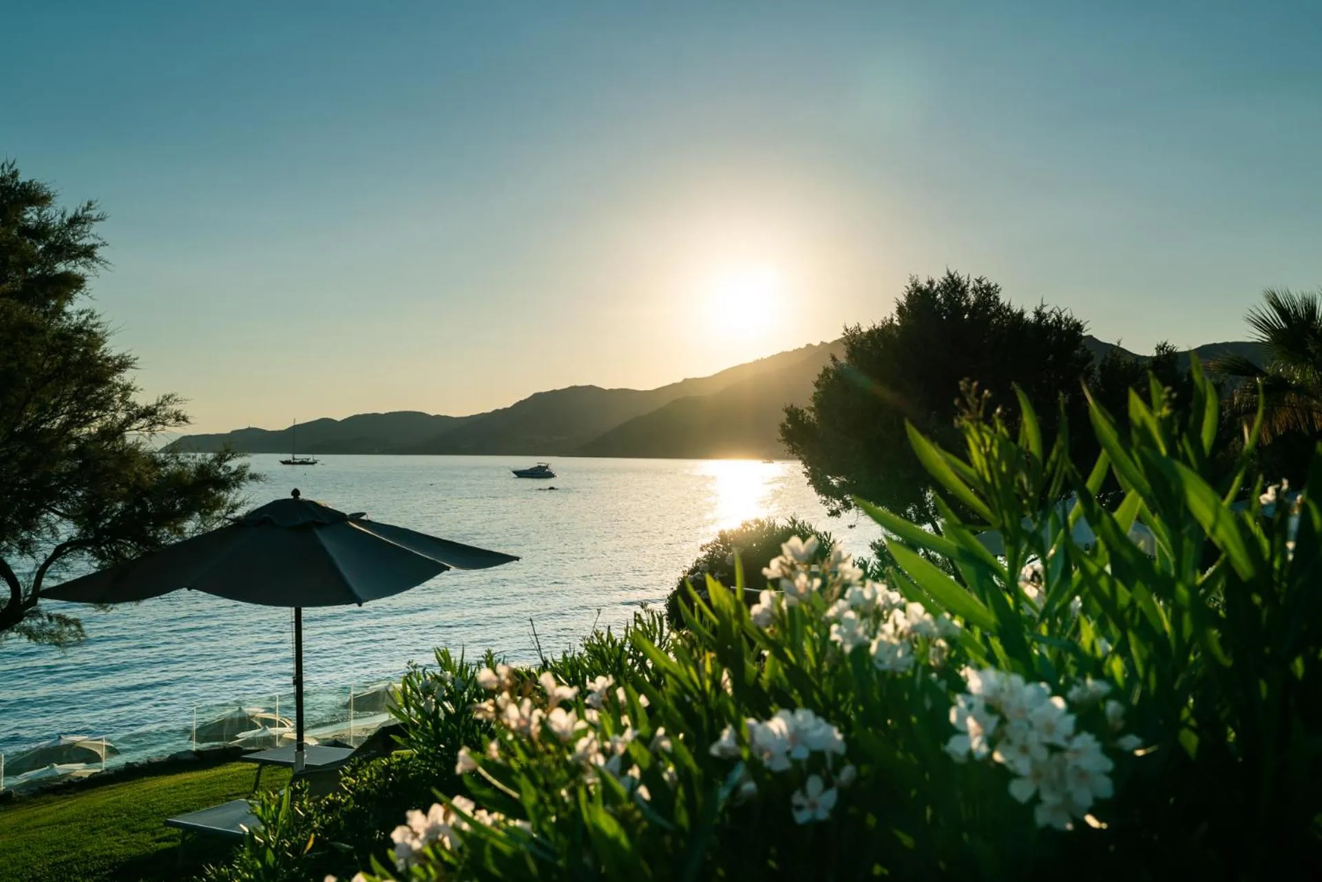 Garden in Hotel Stella Maris