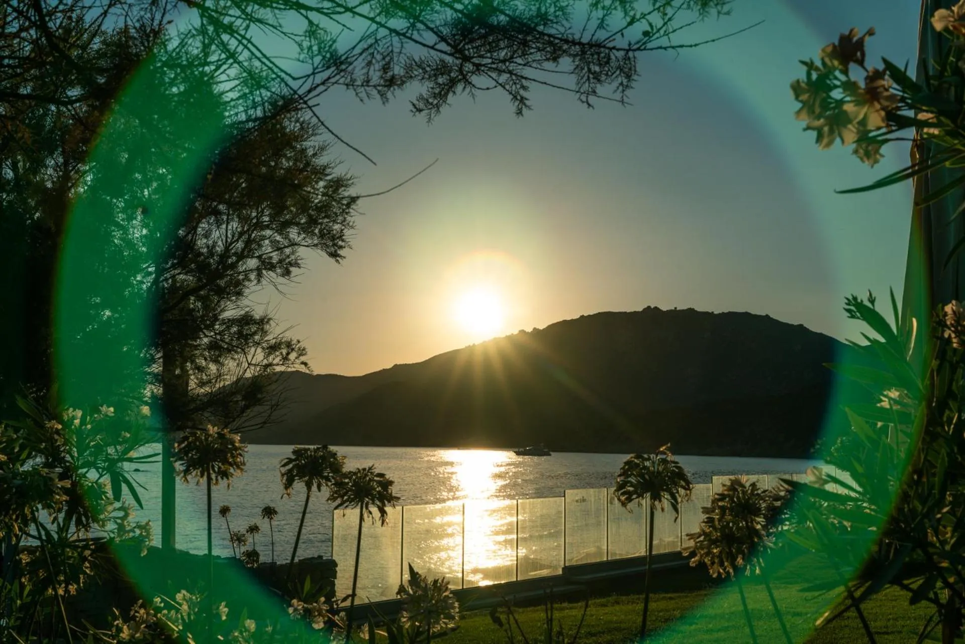Garden in Hotel Stella Maris