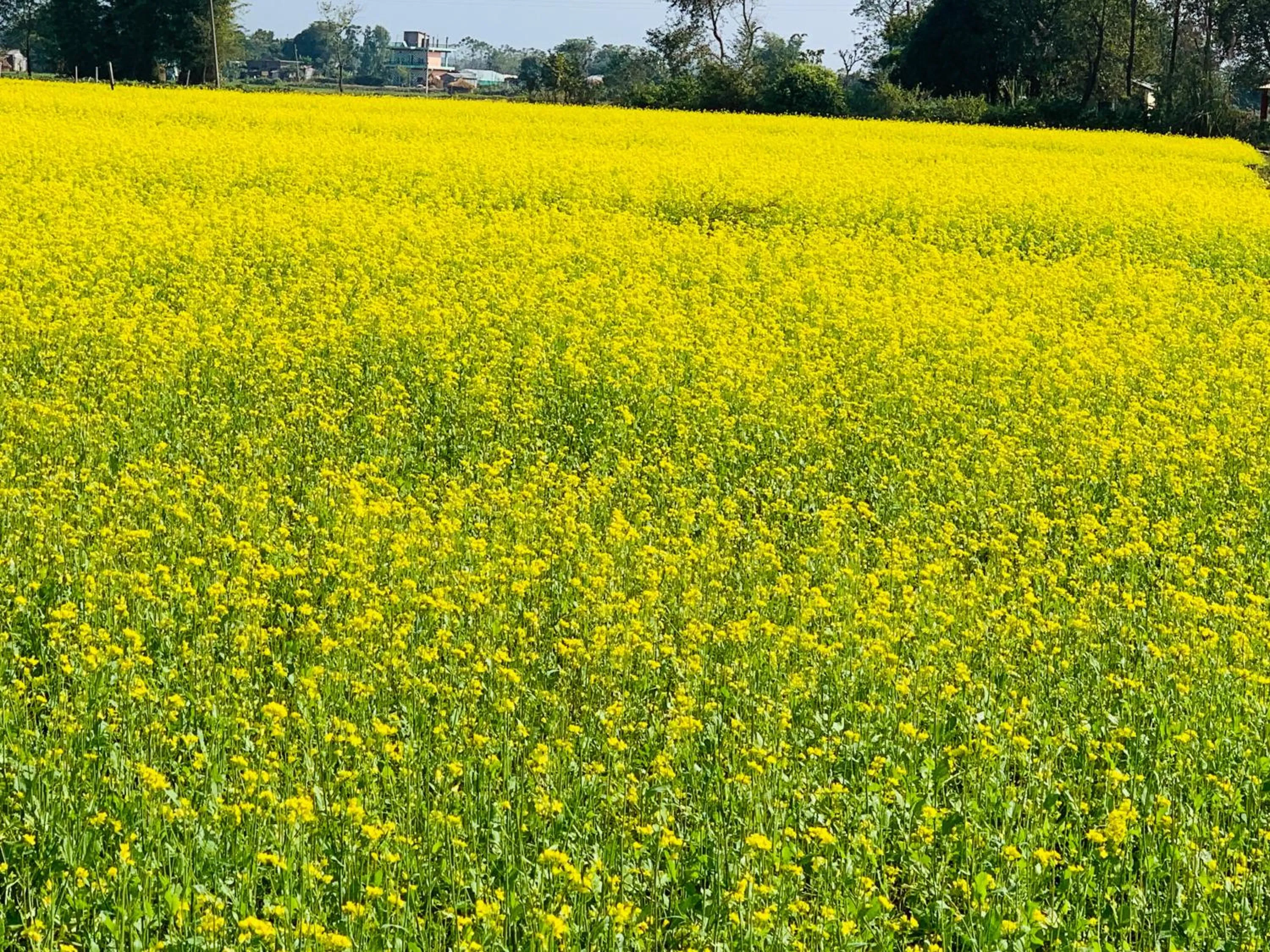 Day in Hotel Parkside