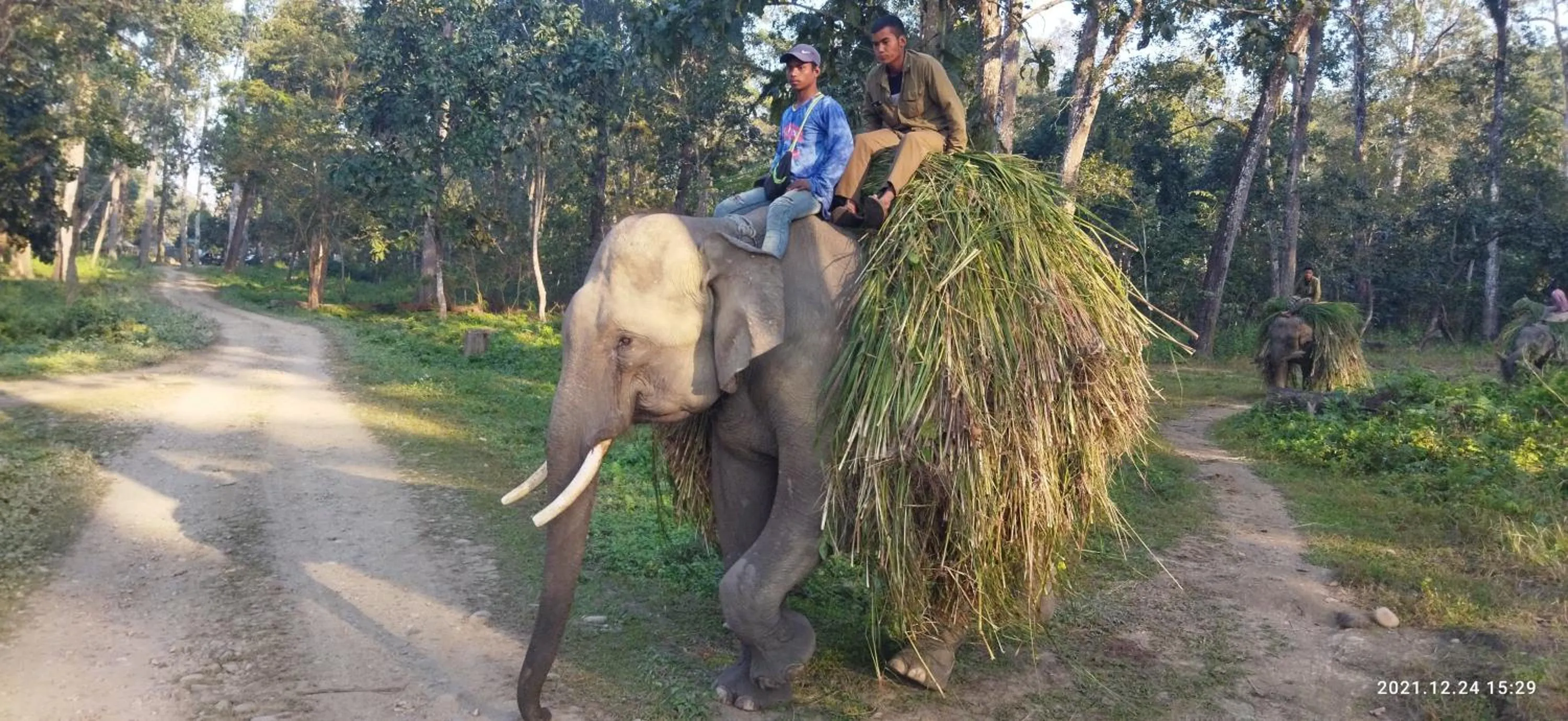 Activities in Hotel Parkside