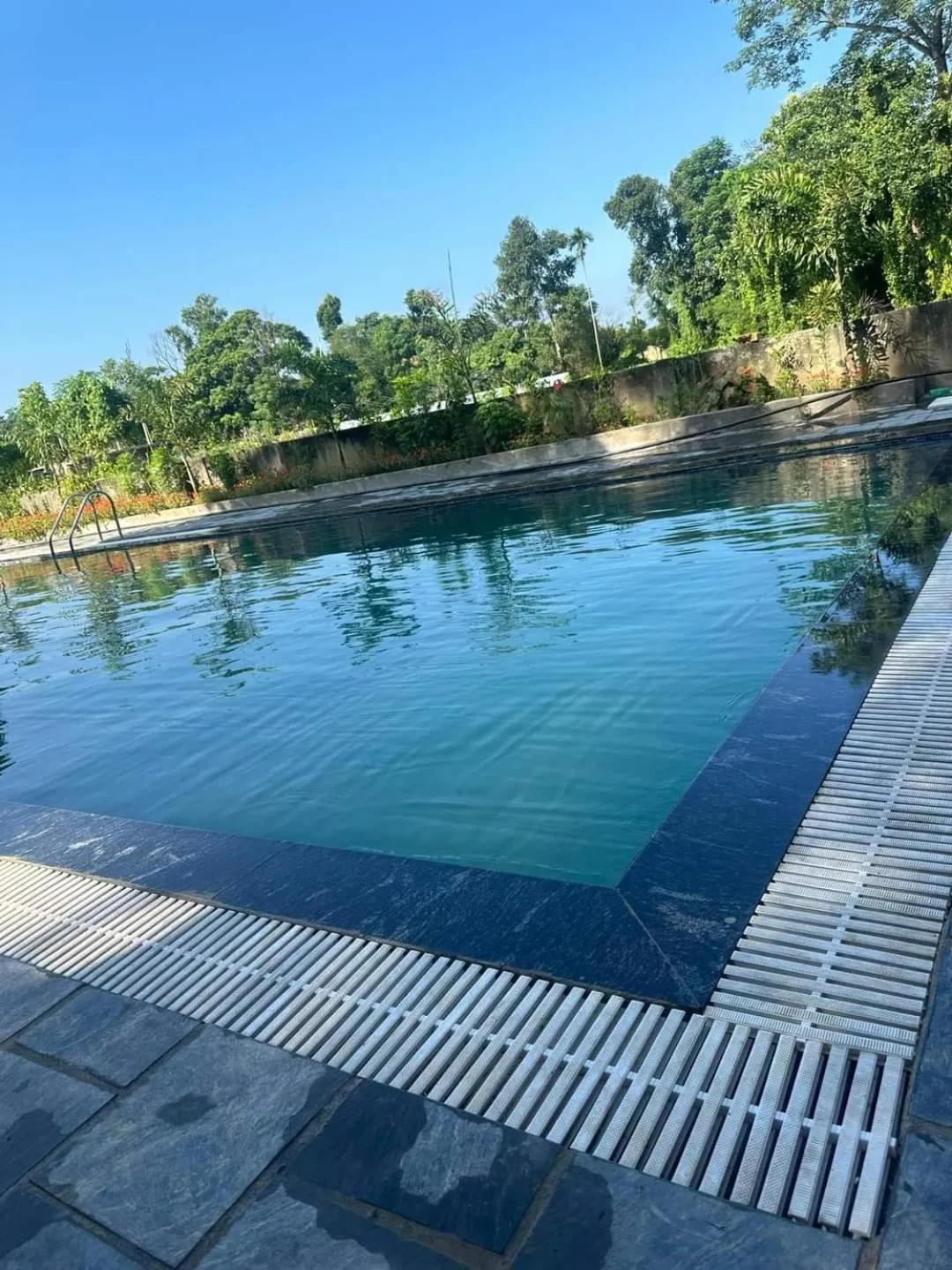 Natural landscape in Hotel Parkside