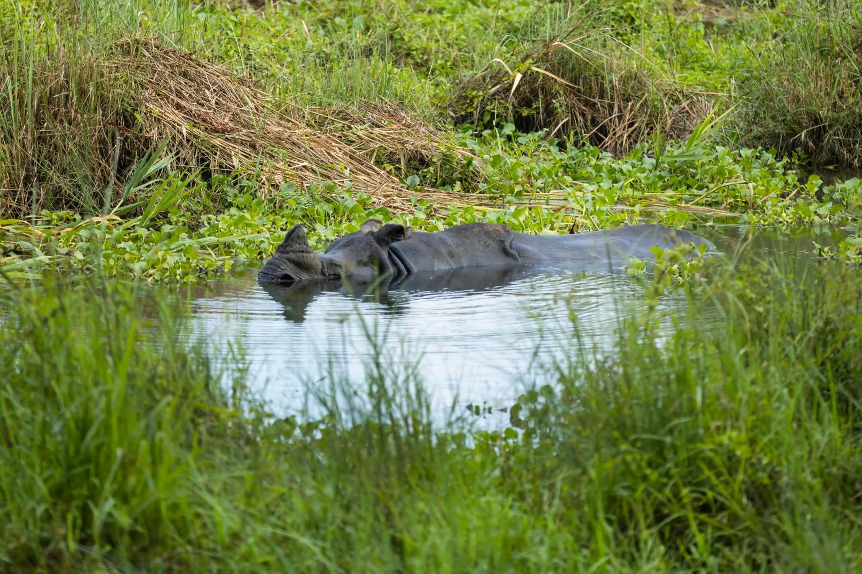 Natural landscape in Hotel Parkside