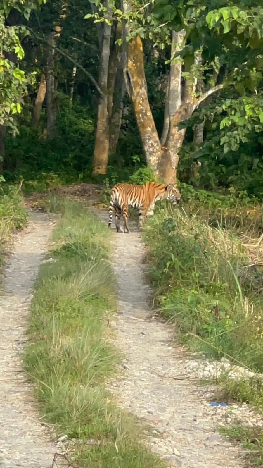Natural landscape in Hotel Parkside