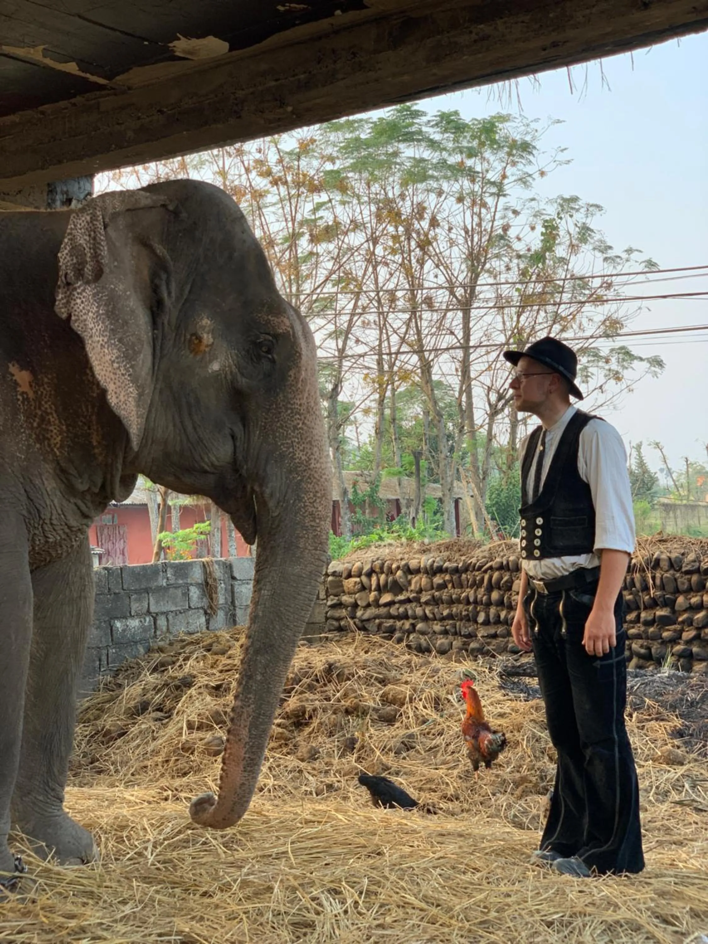 Day in Hotel Parkside