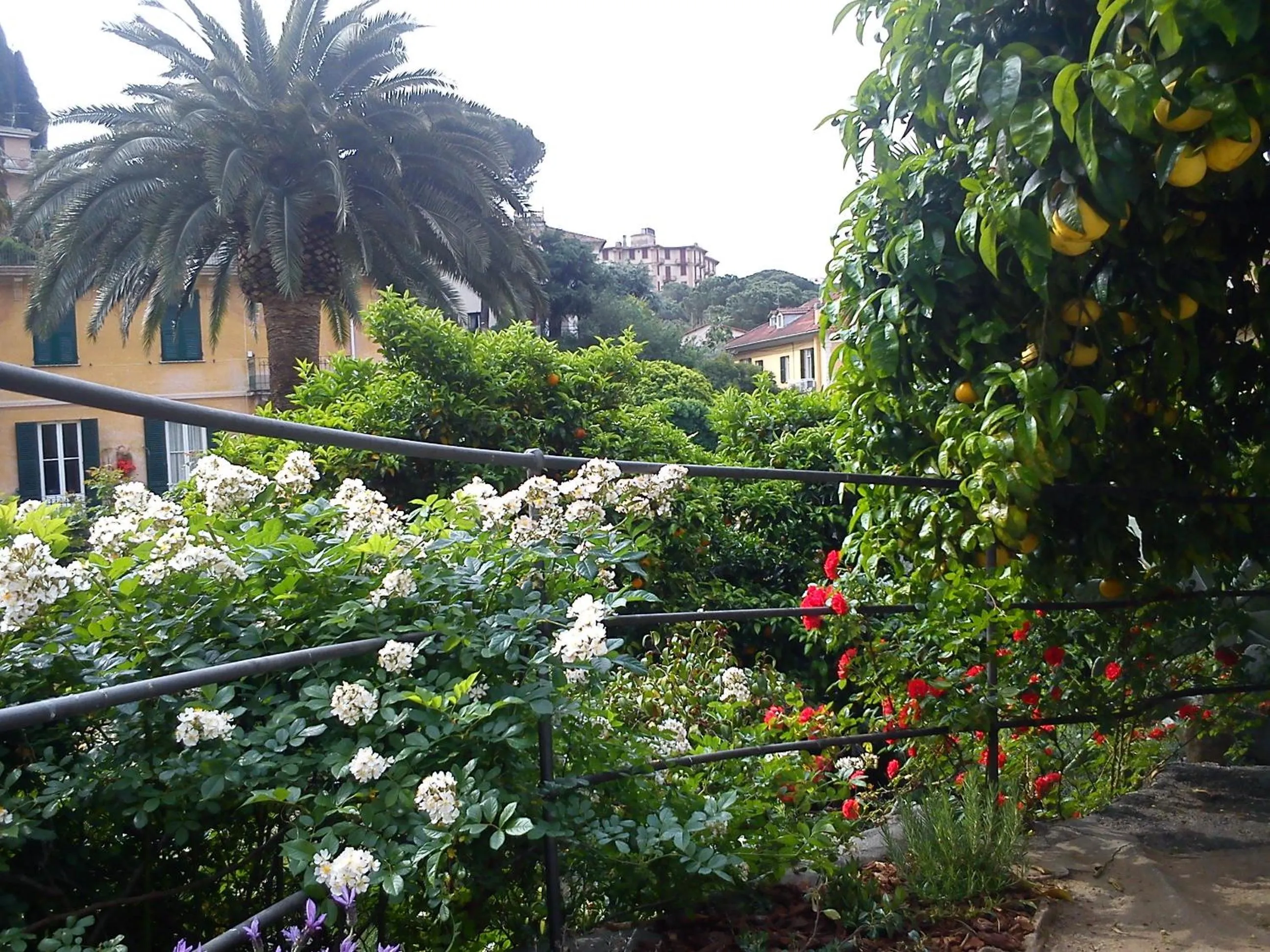 Garden in Hotel Canali - Le Cinque Terre
