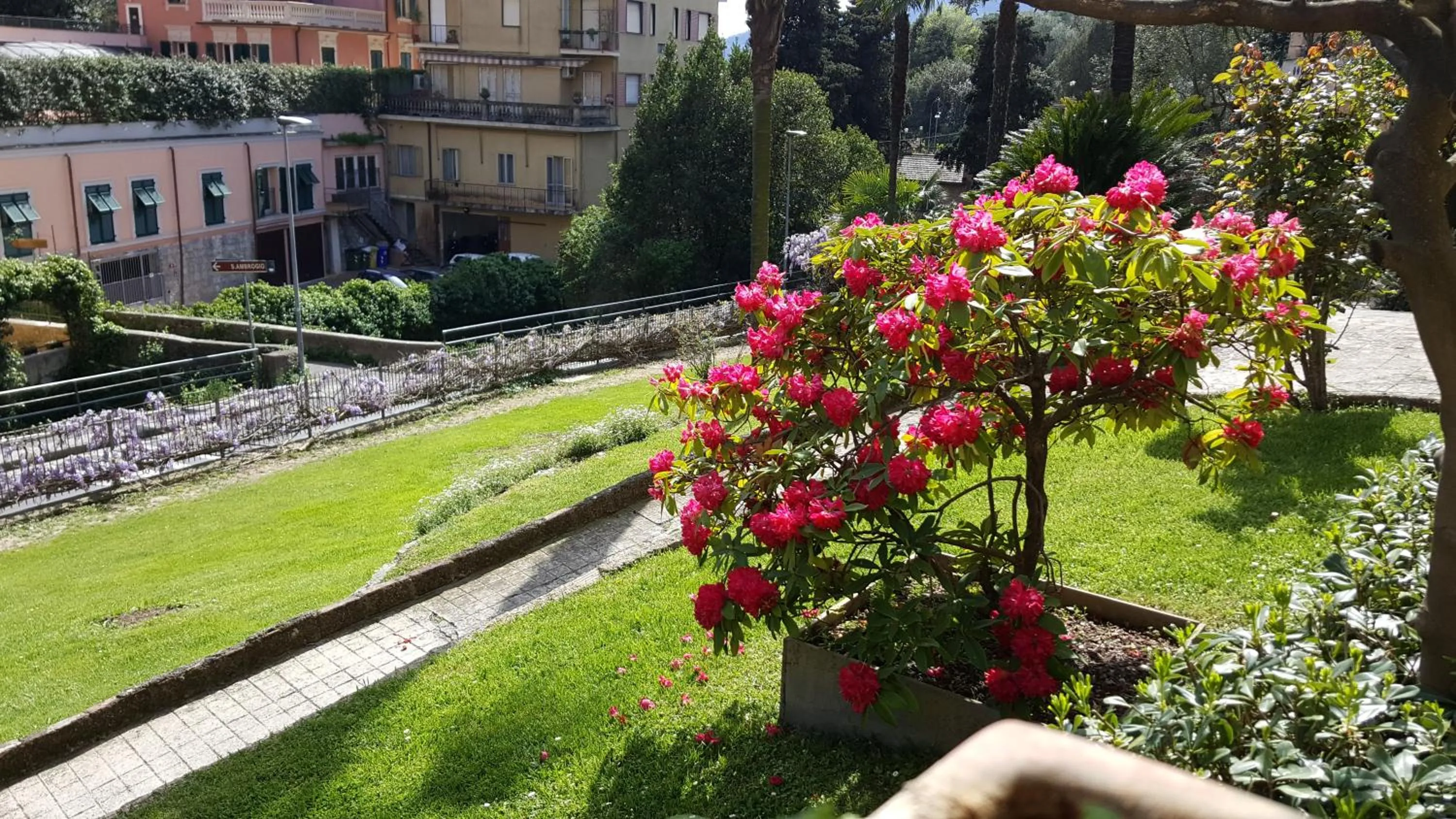 Garden in Hotel Canali - Le Cinque Terre
