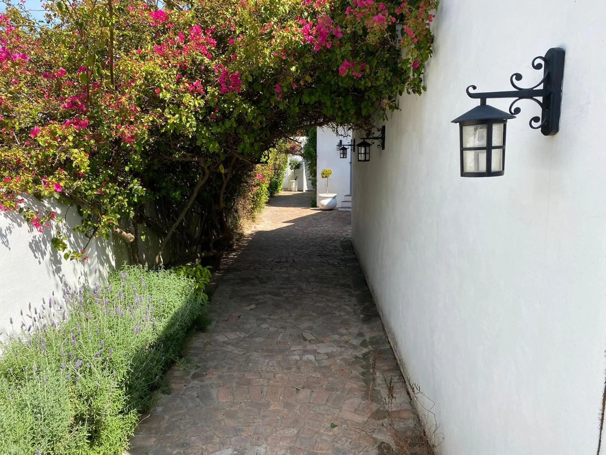 Facade/entrance in Mirabelle Guesthouse