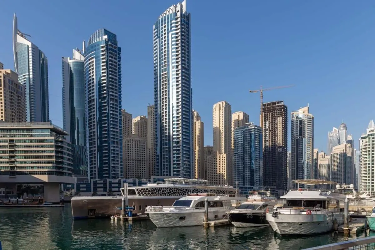 Frank Porter - Silverene Tower B