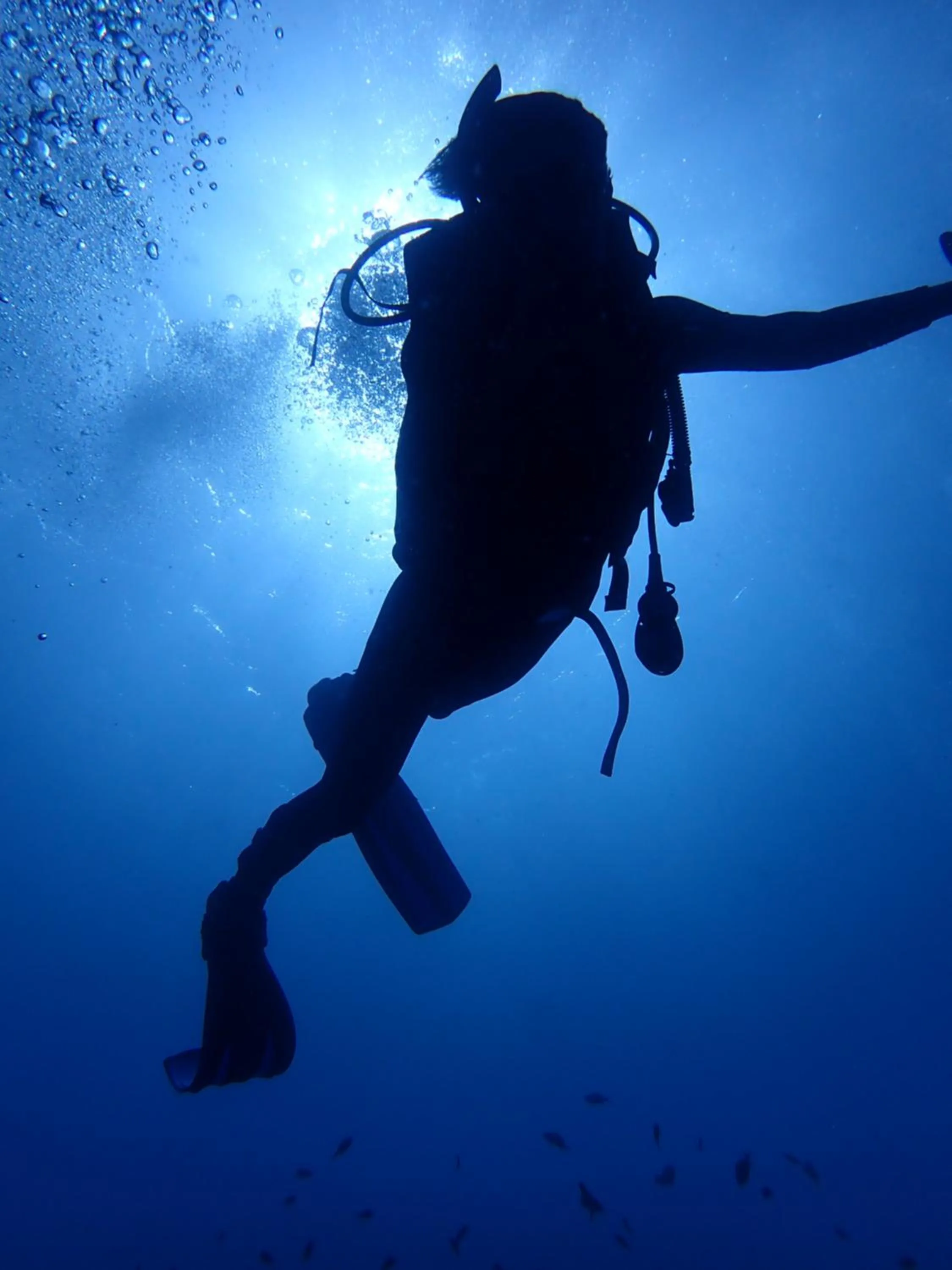 Diving in Palm Springs Bali Dive Resort