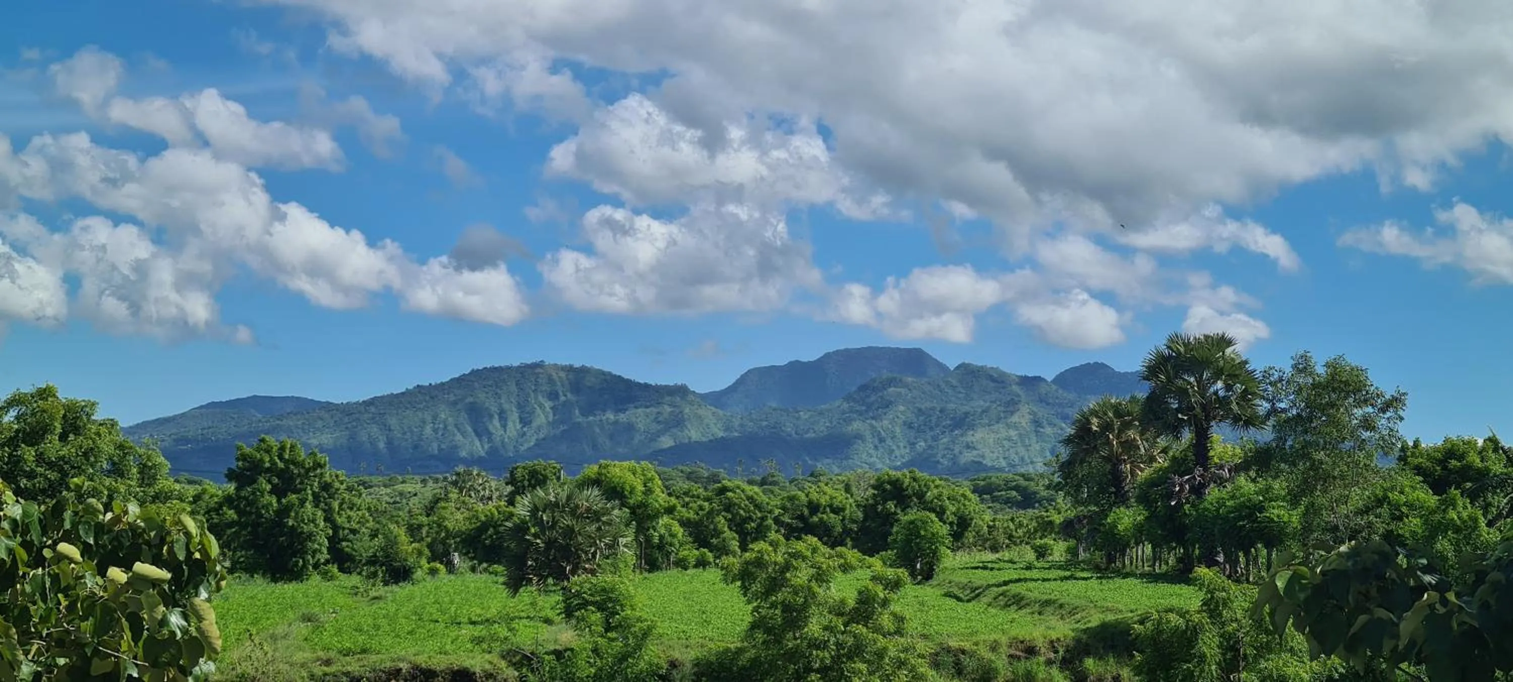 Mountain view in Palm Springs Bali Dive Resort