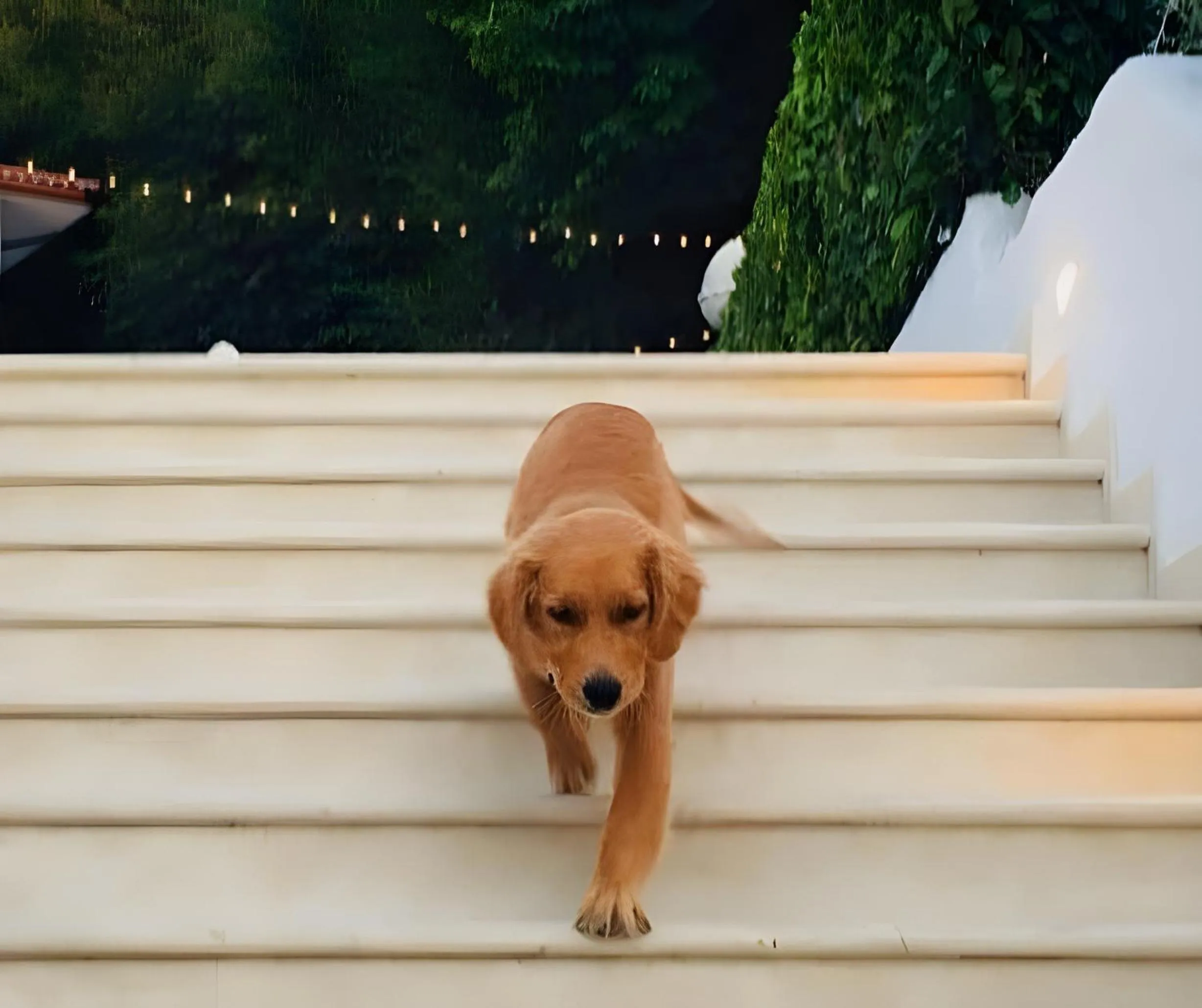 Pets in Giardino Dei Pini - Boutique Hotel