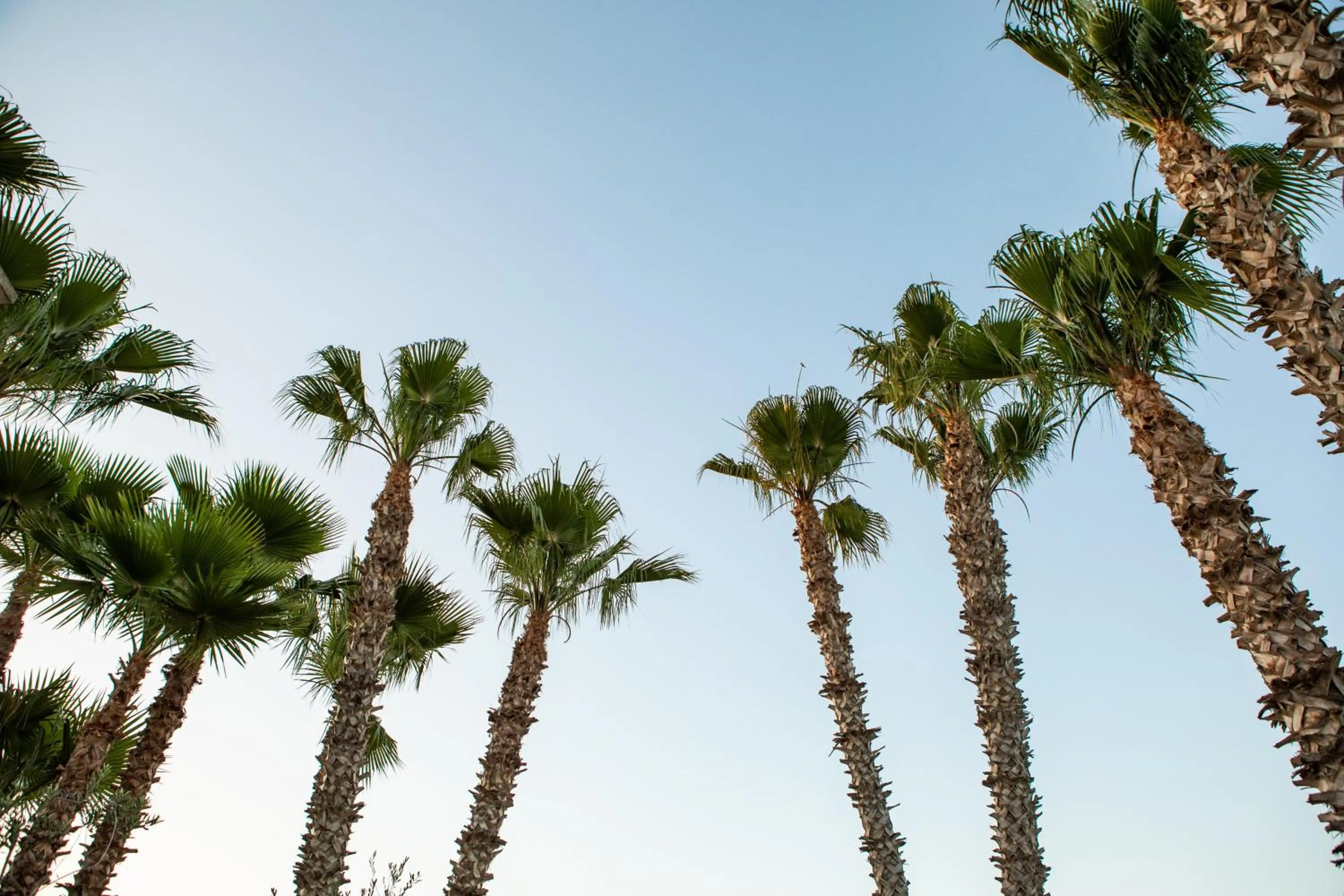 Giardino Dei Pini - Boutique Hotel